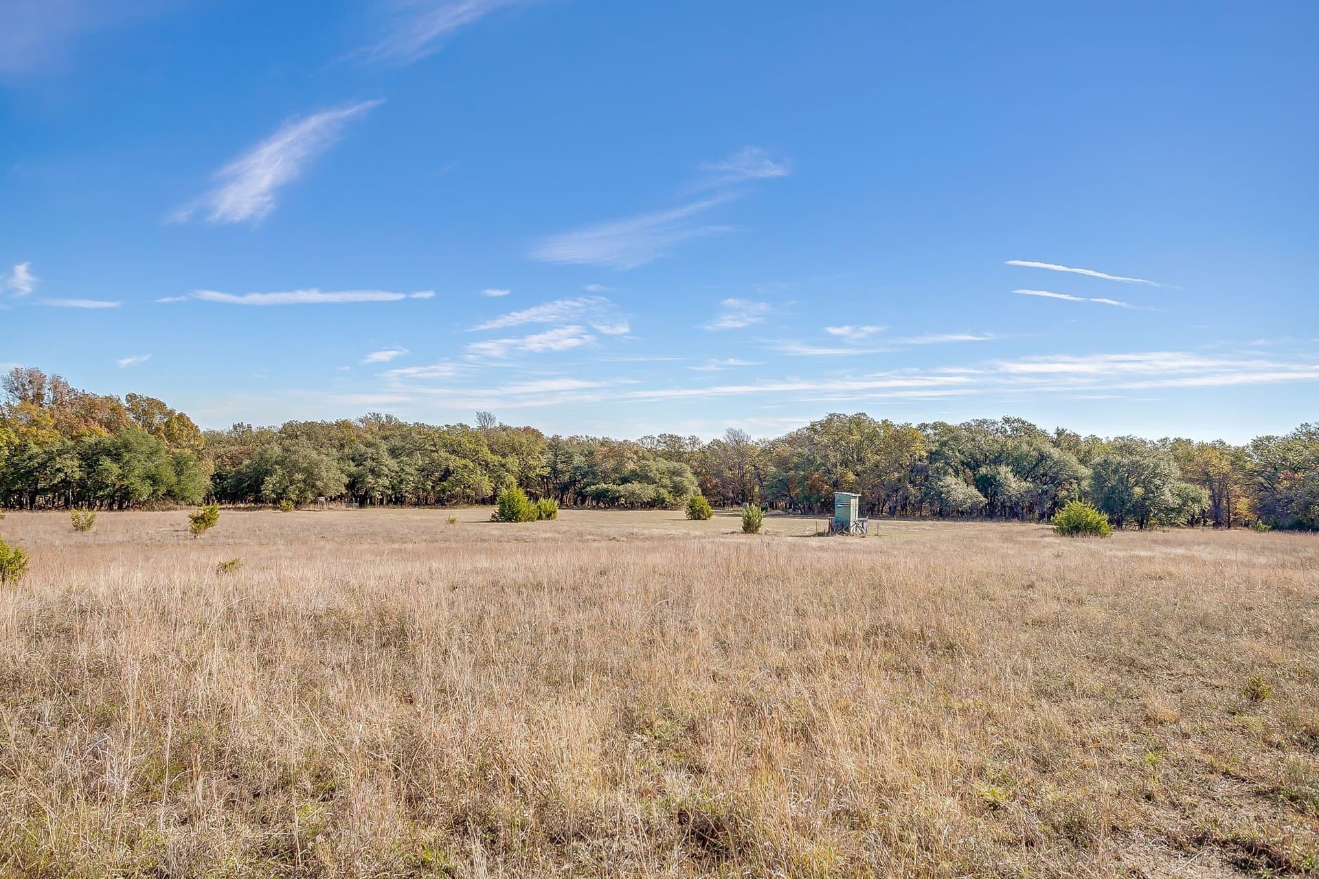 298 acres in Erath County - photo 36