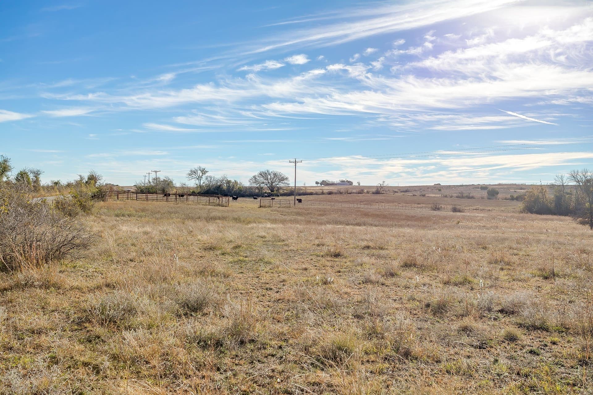 298 acres in Erath County - photo 21