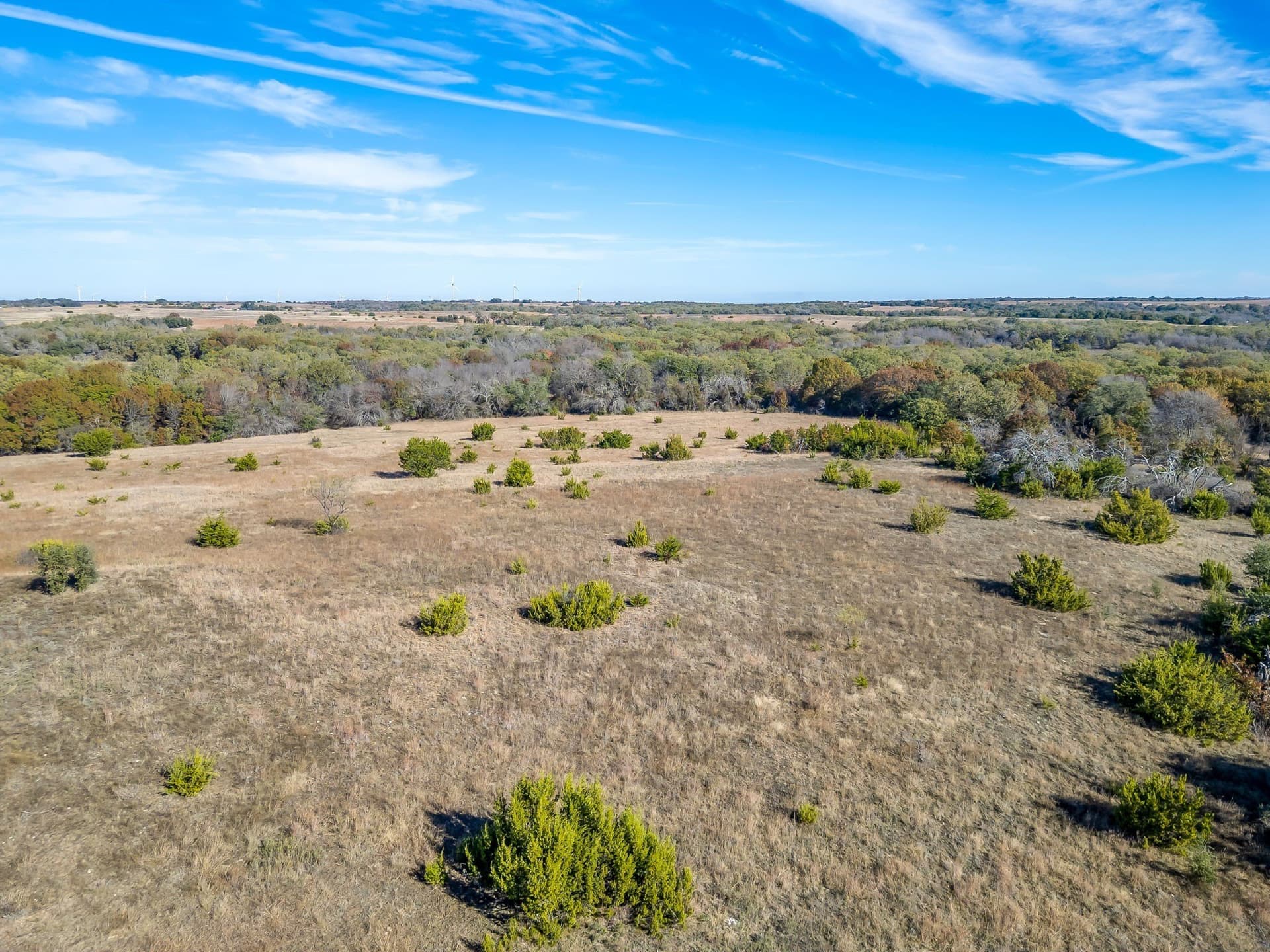 298 acres in Erath County - photo 15