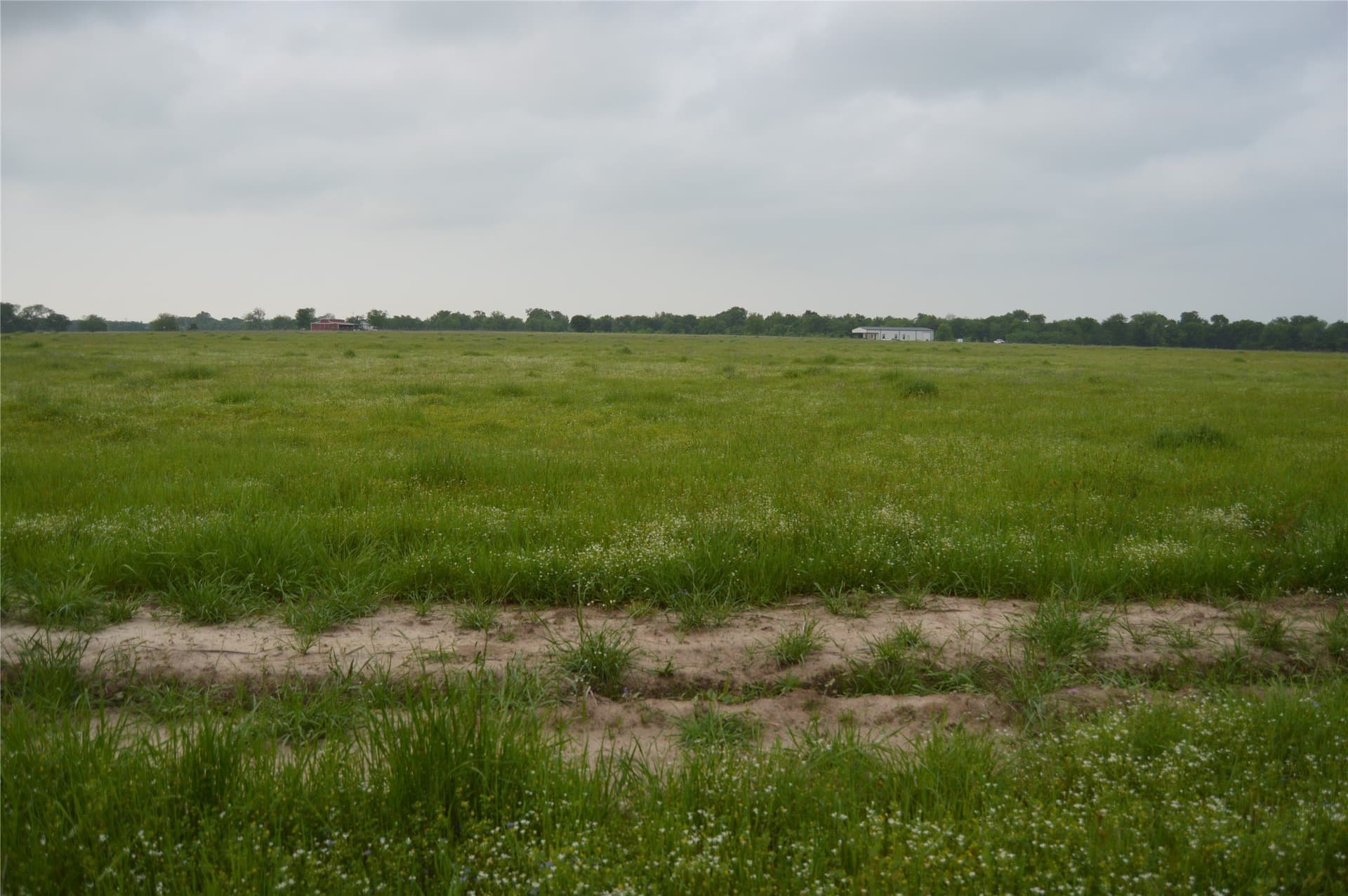3 acres in Rains County - photo 8