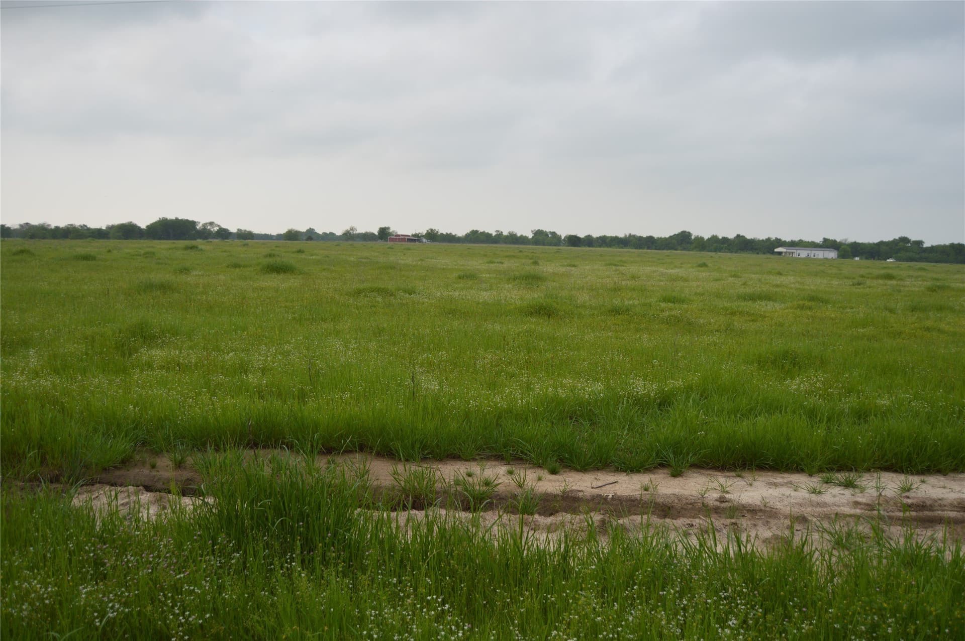 3 acres in Rains County - photo 6