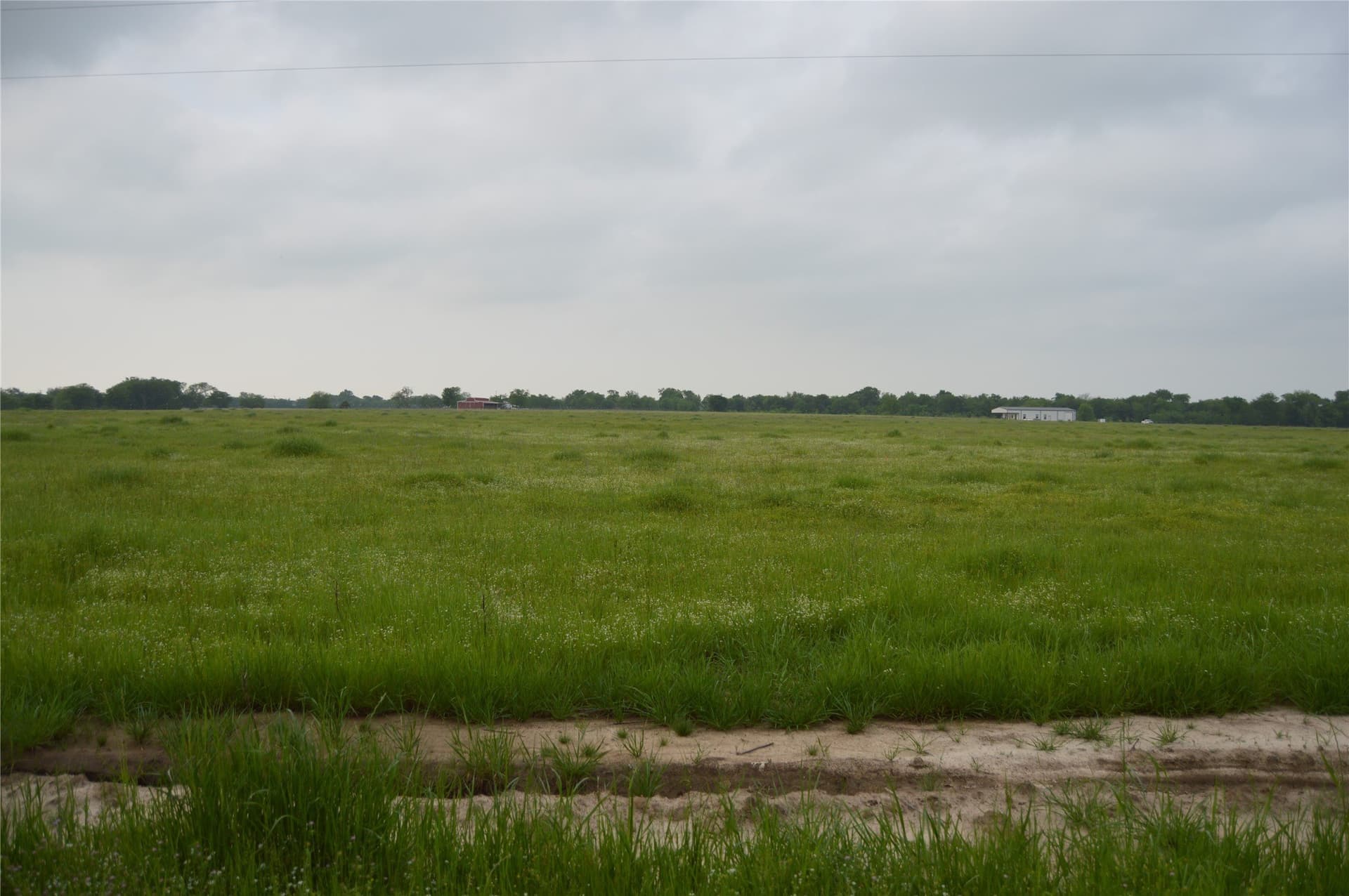 3 acres in Rains County gallery image 4