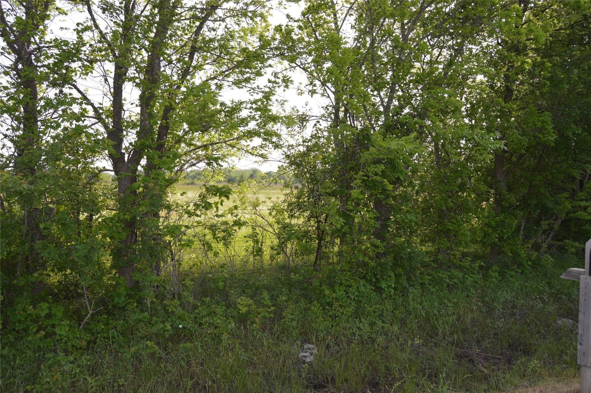 3 acres in Rains County - photo 10