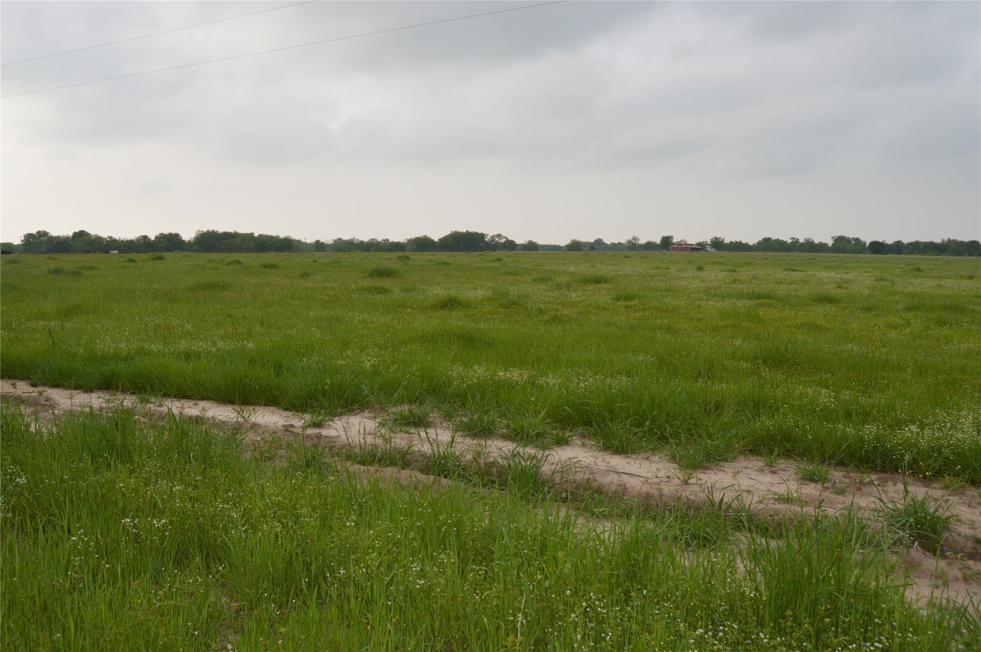 3 acres in Rains County - photo 9