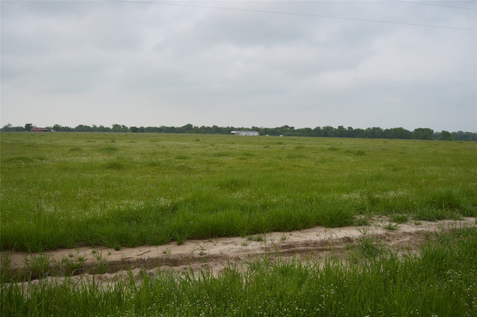 3 acres in Rains County - photo 7