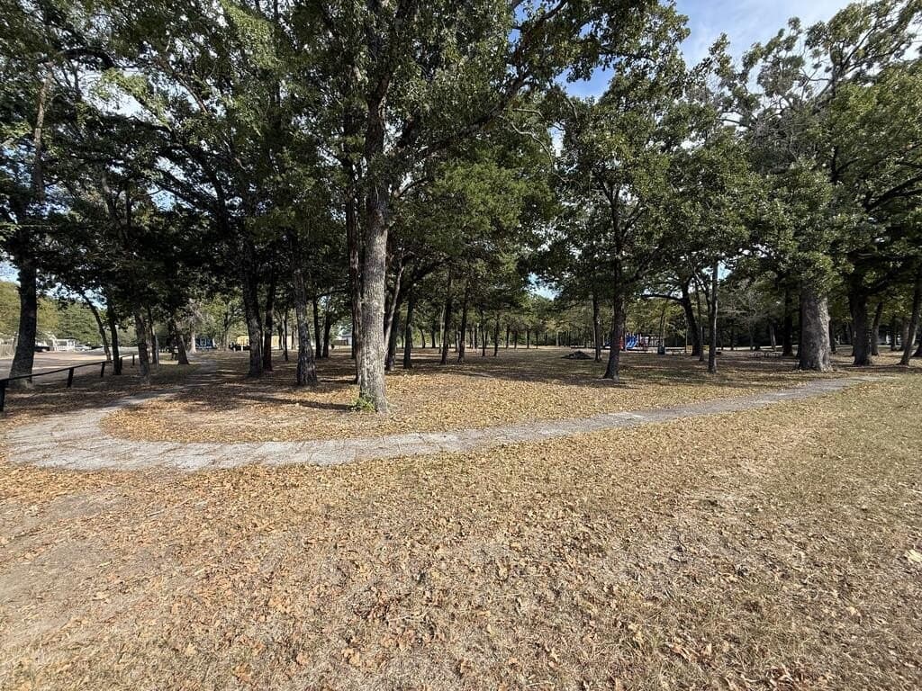 0.05 acres in Henderson County - photo 6