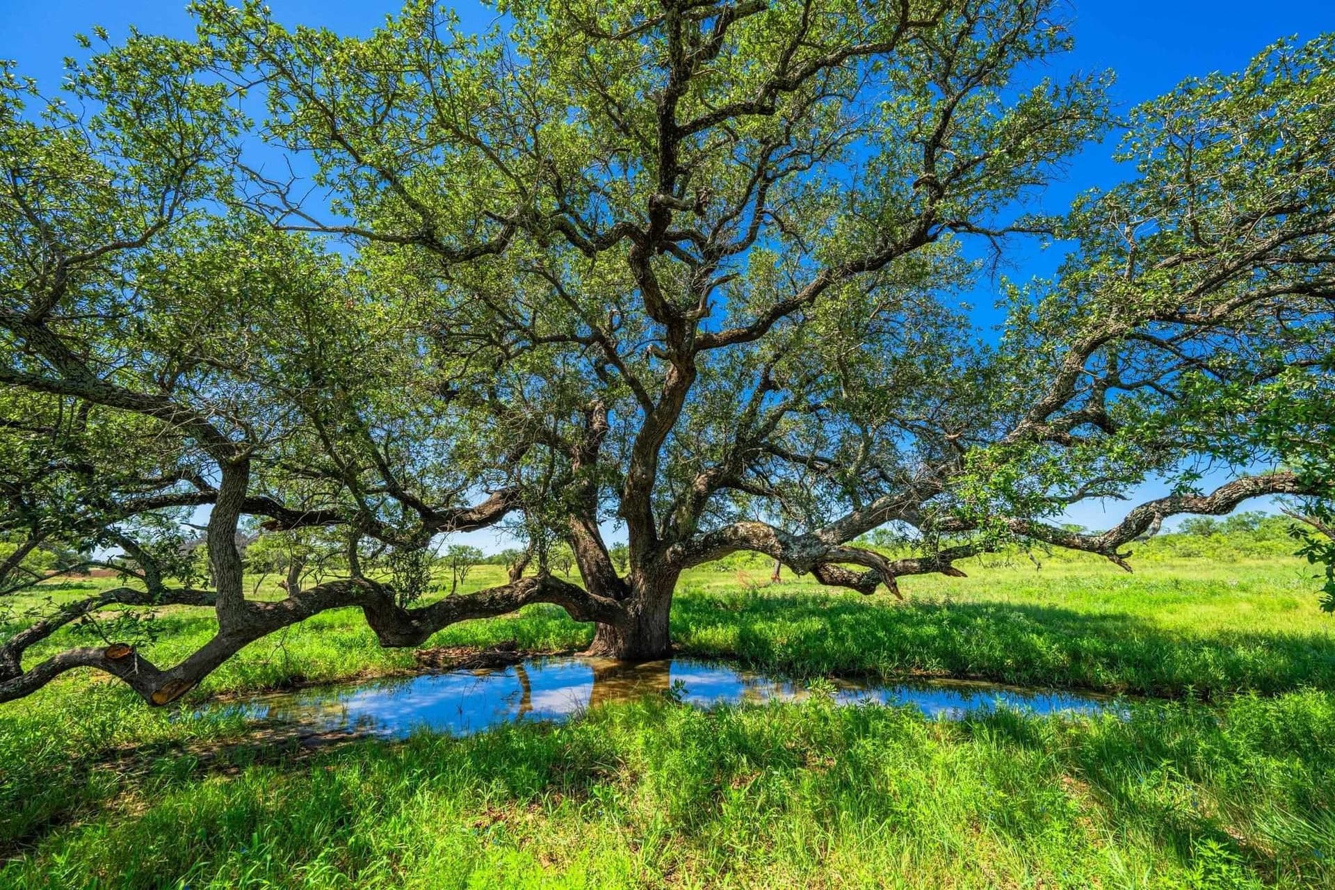 176 acres in Llano County - photo 22