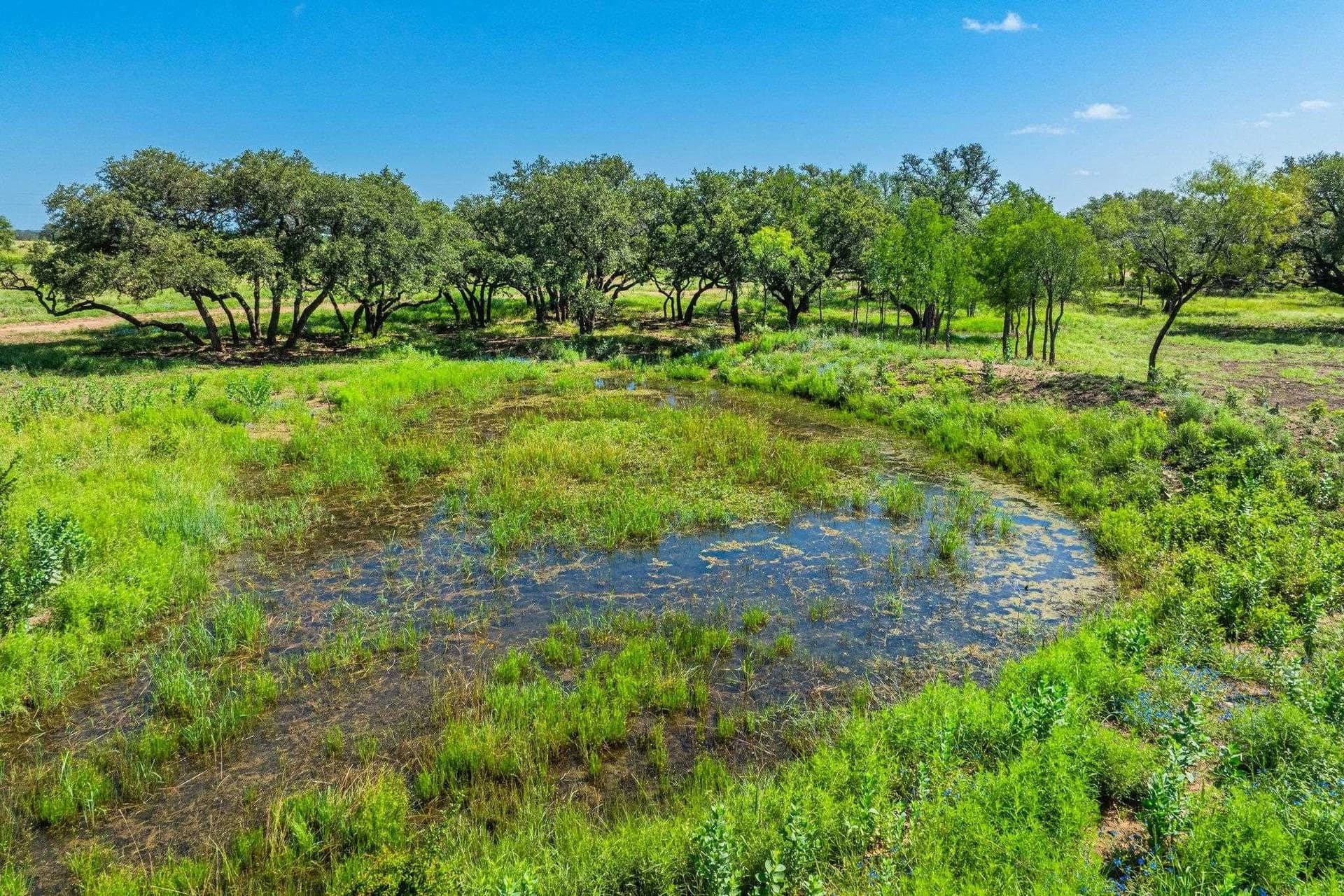 176 acres in Llano County - photo 11
