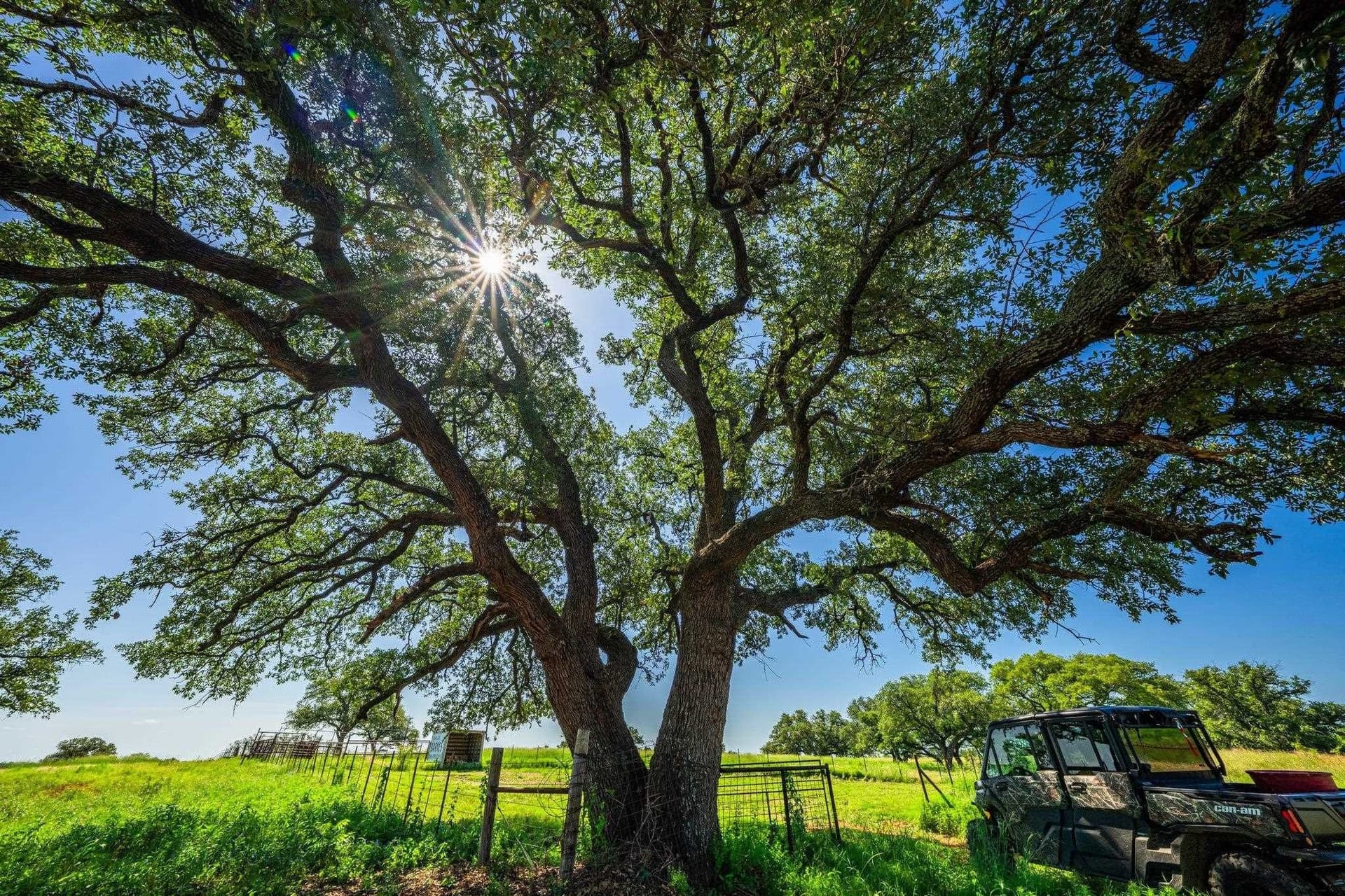 176 acres in Llano County - photo 17