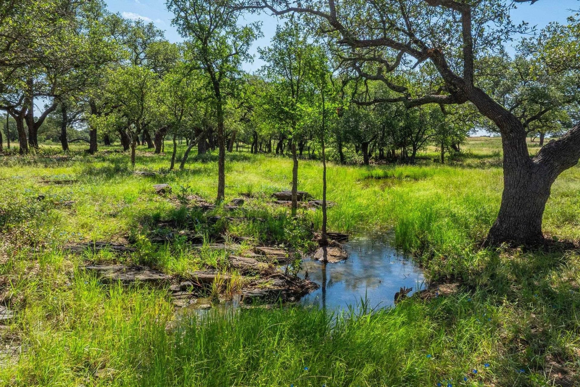 176 acres in Llano County - photo 13