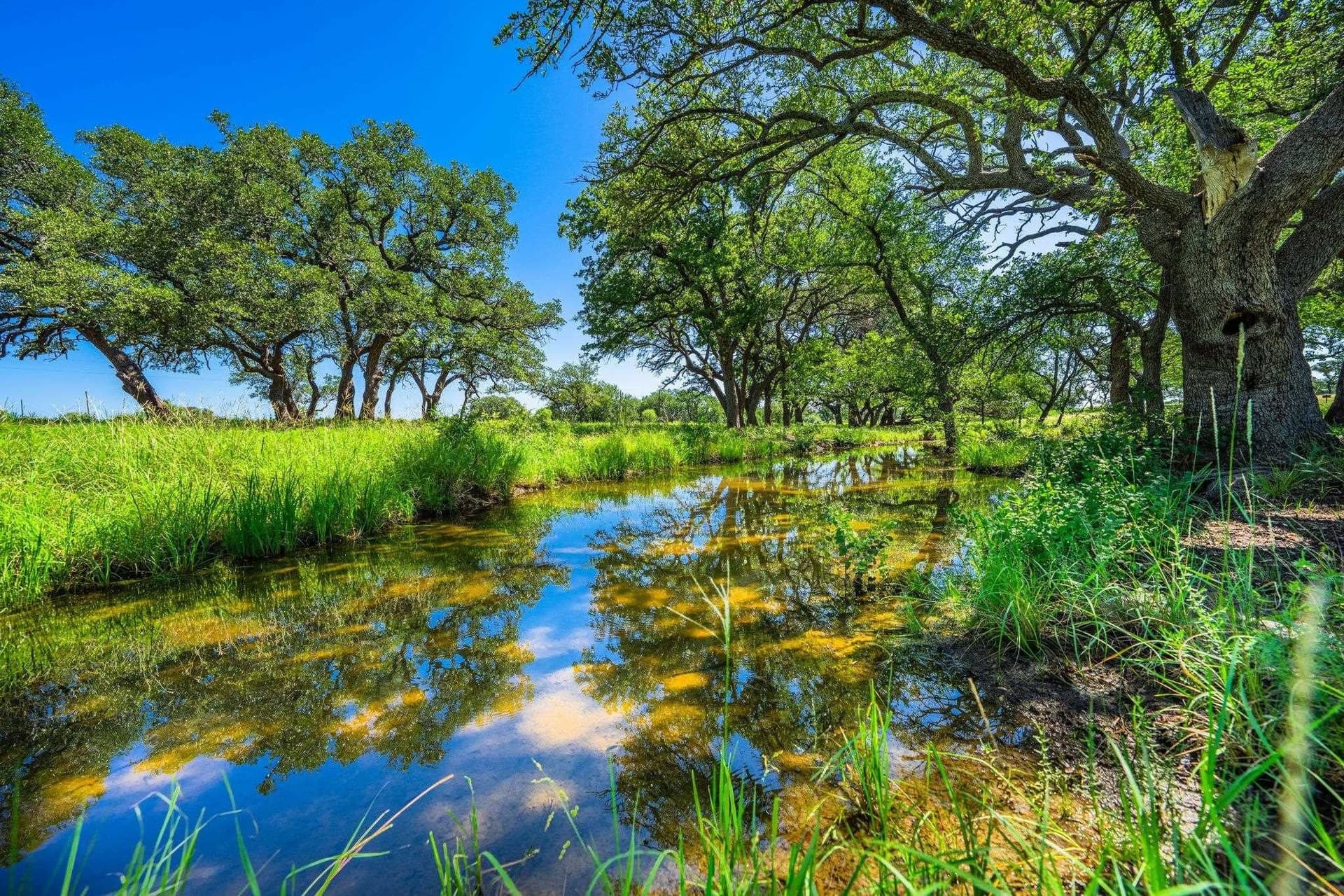 176 acres in Llano County - photo 23