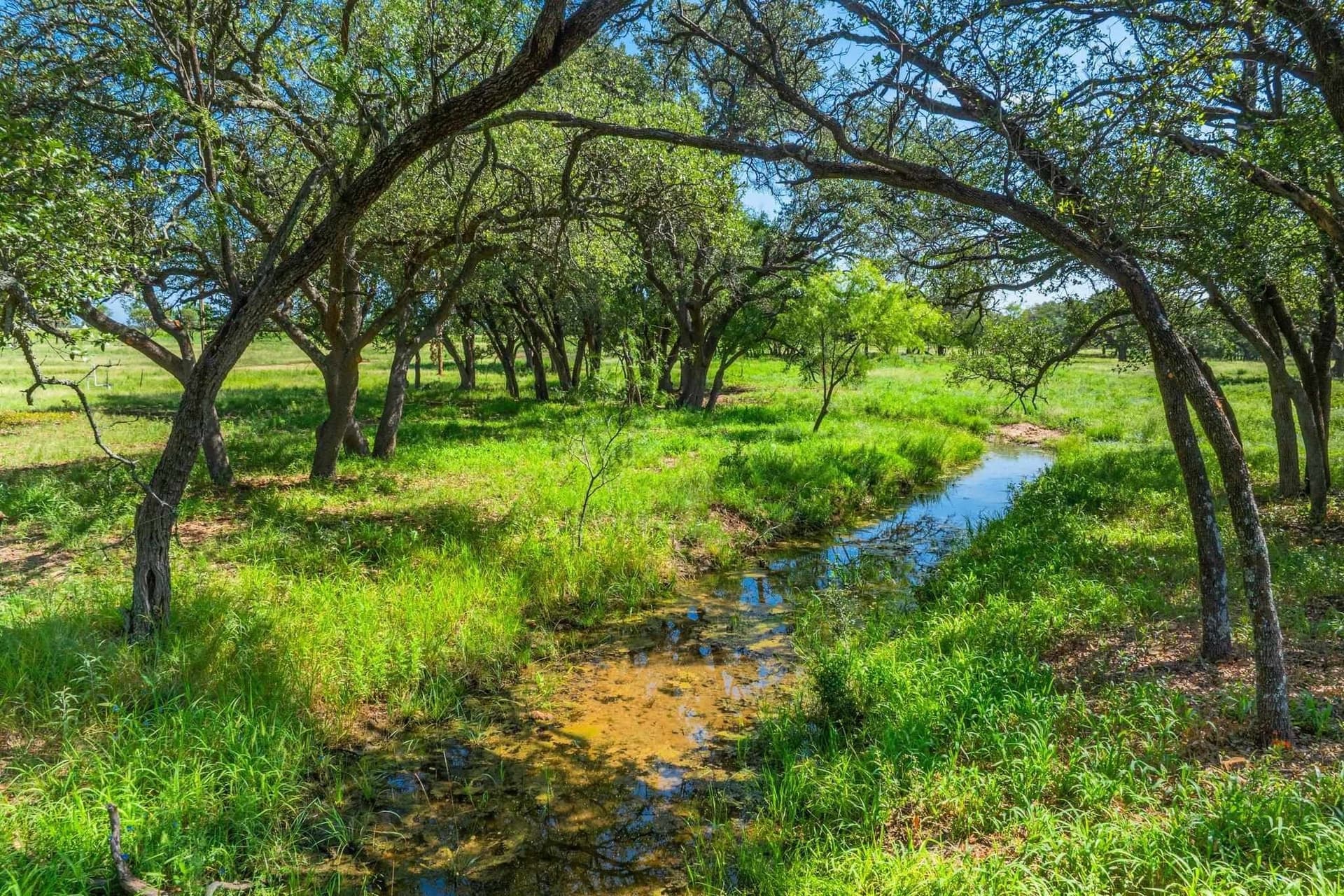 176 acres in Llano County - photo 10