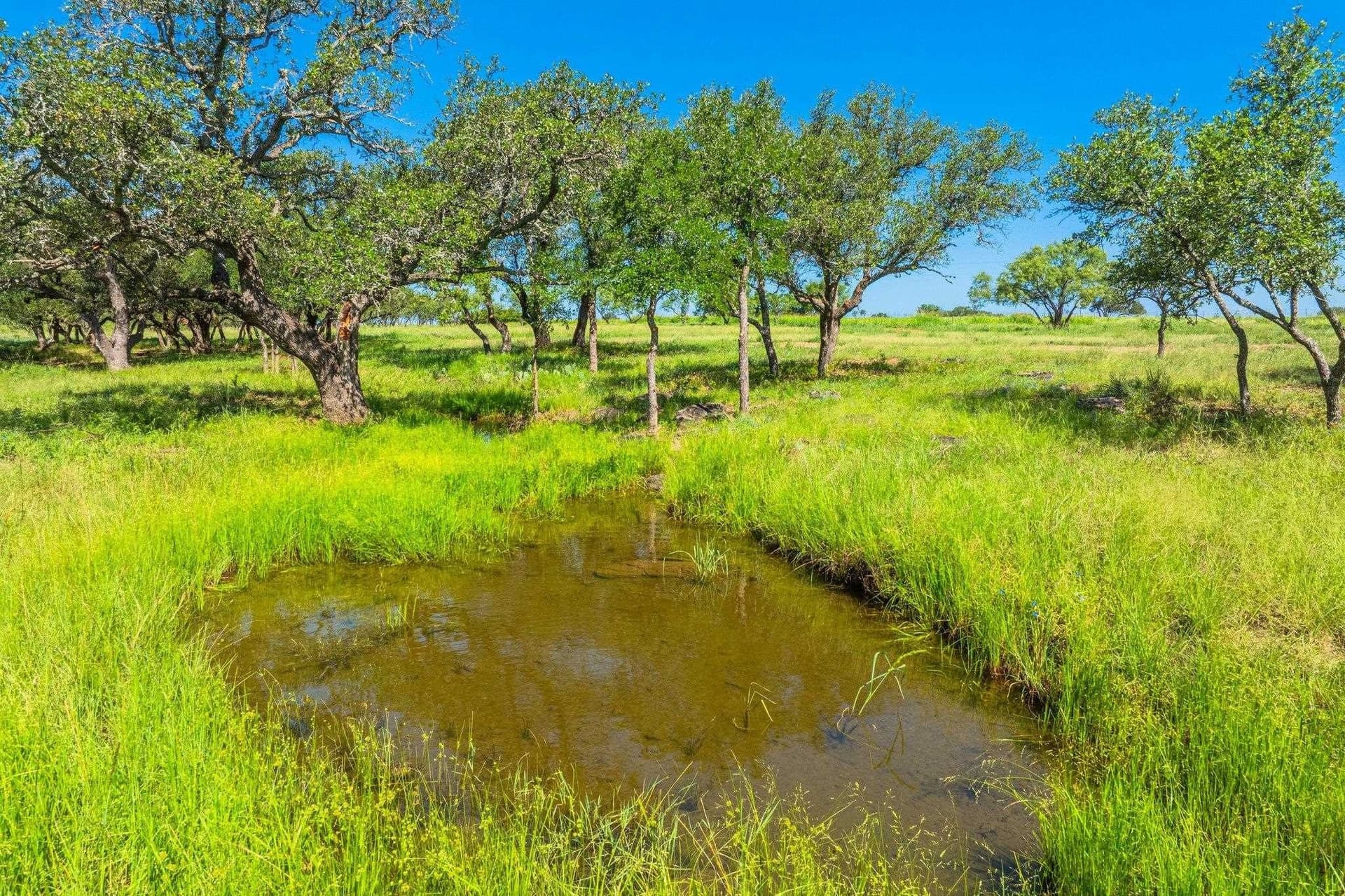 176 acres in Llano County - photo 6