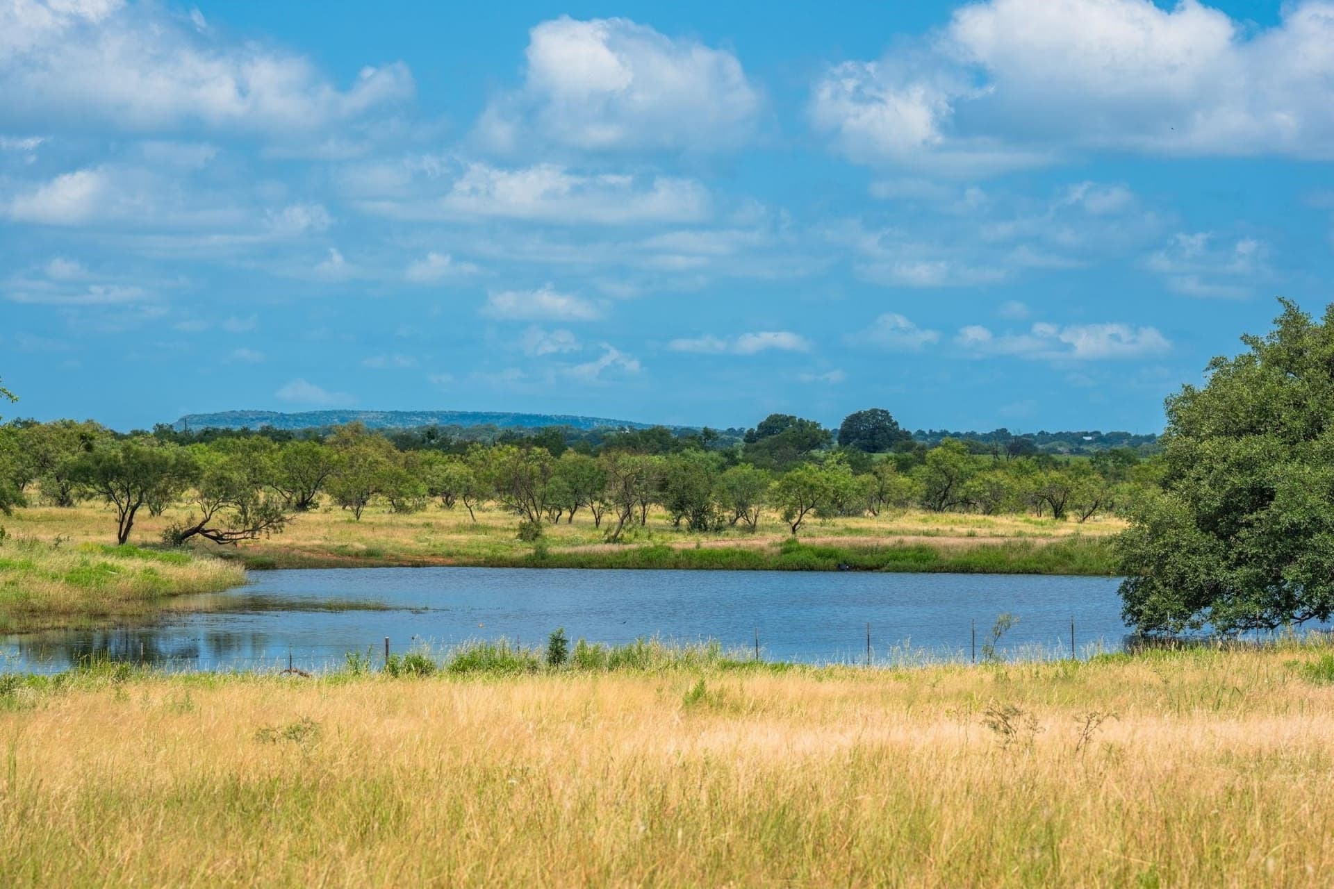 176 acres in Llano County - photo 18