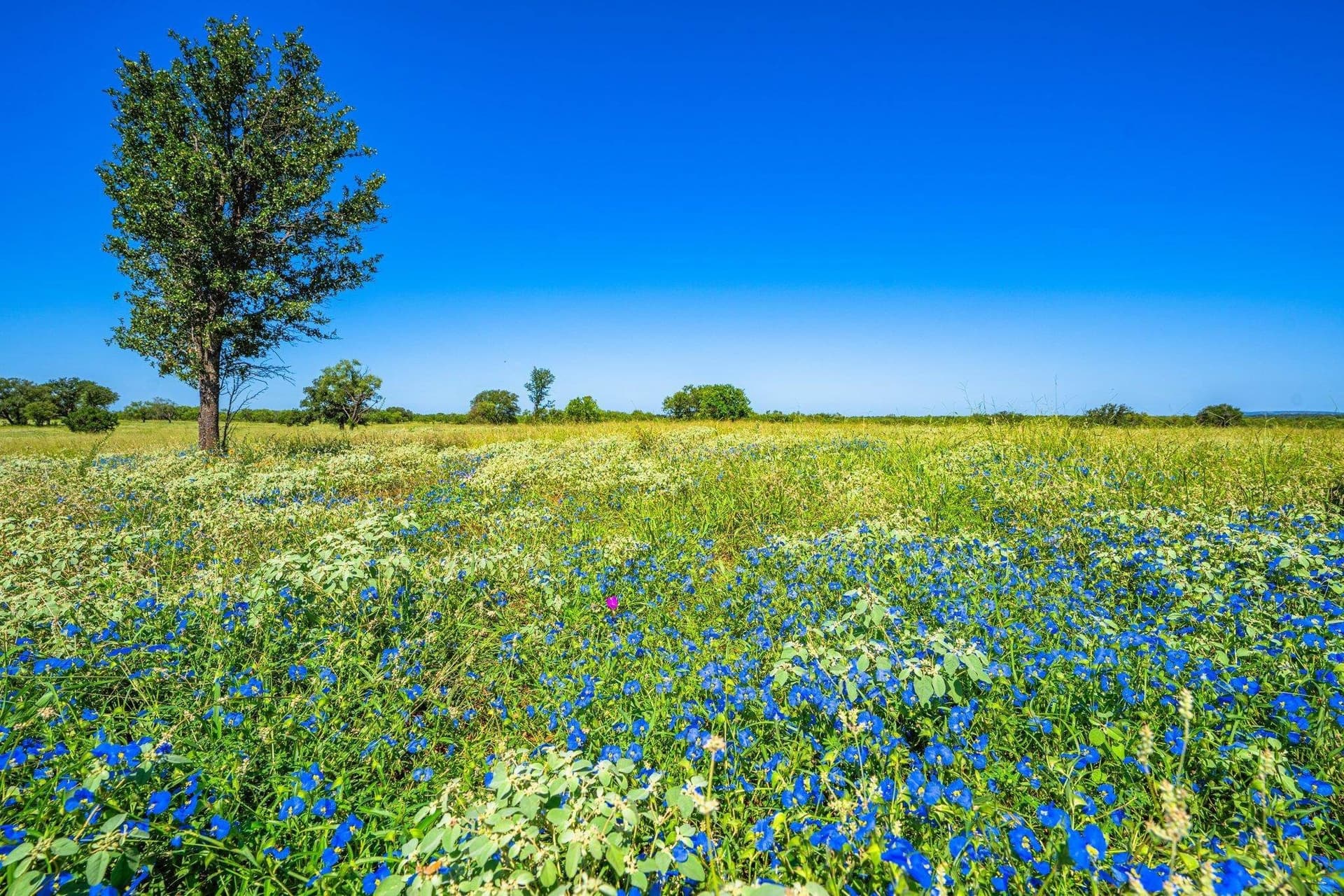 176 acres in Llano County - photo 16