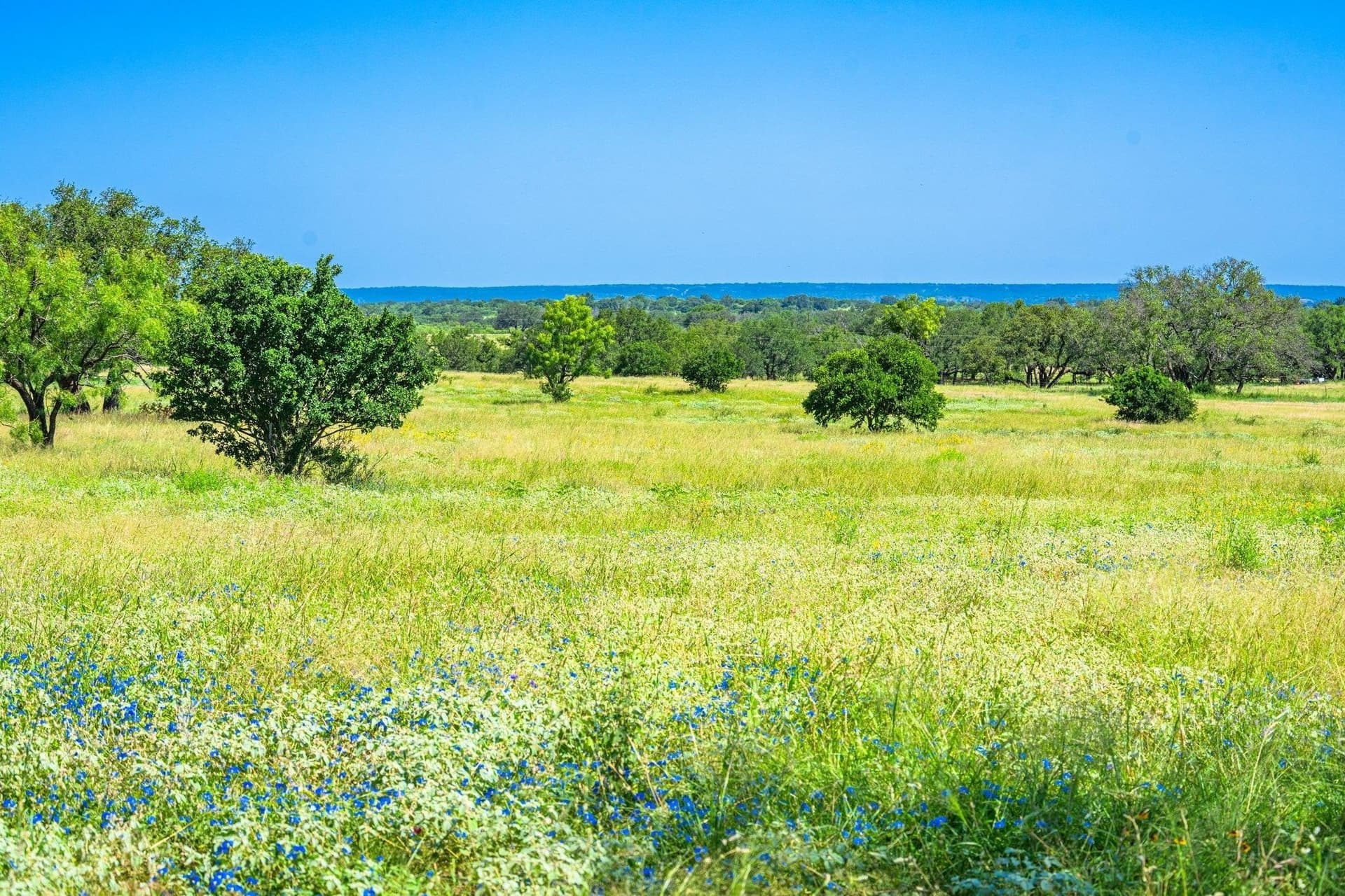 176 acres in Llano County - photo 7