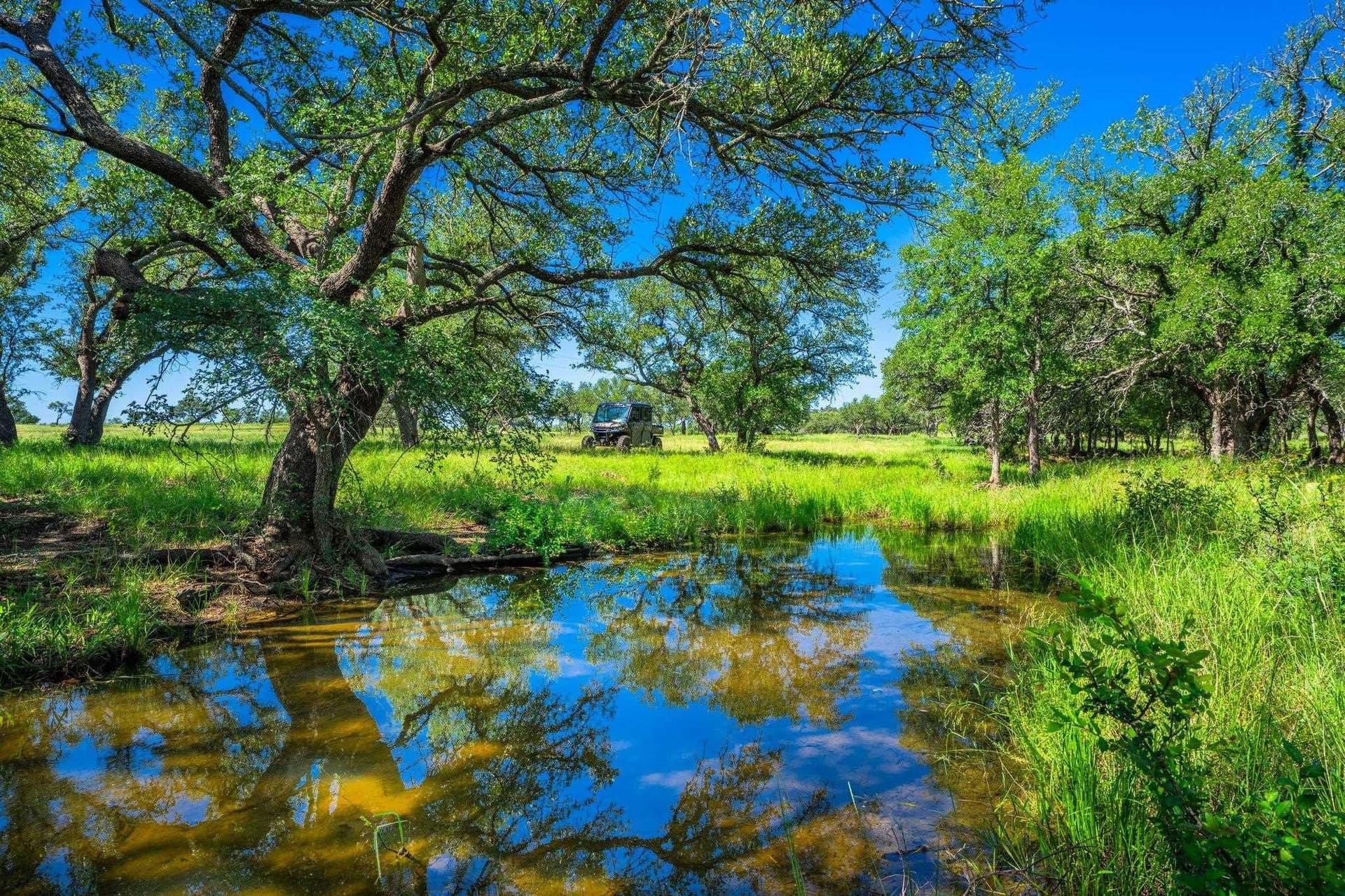 176 acres in Llano County - photo 28