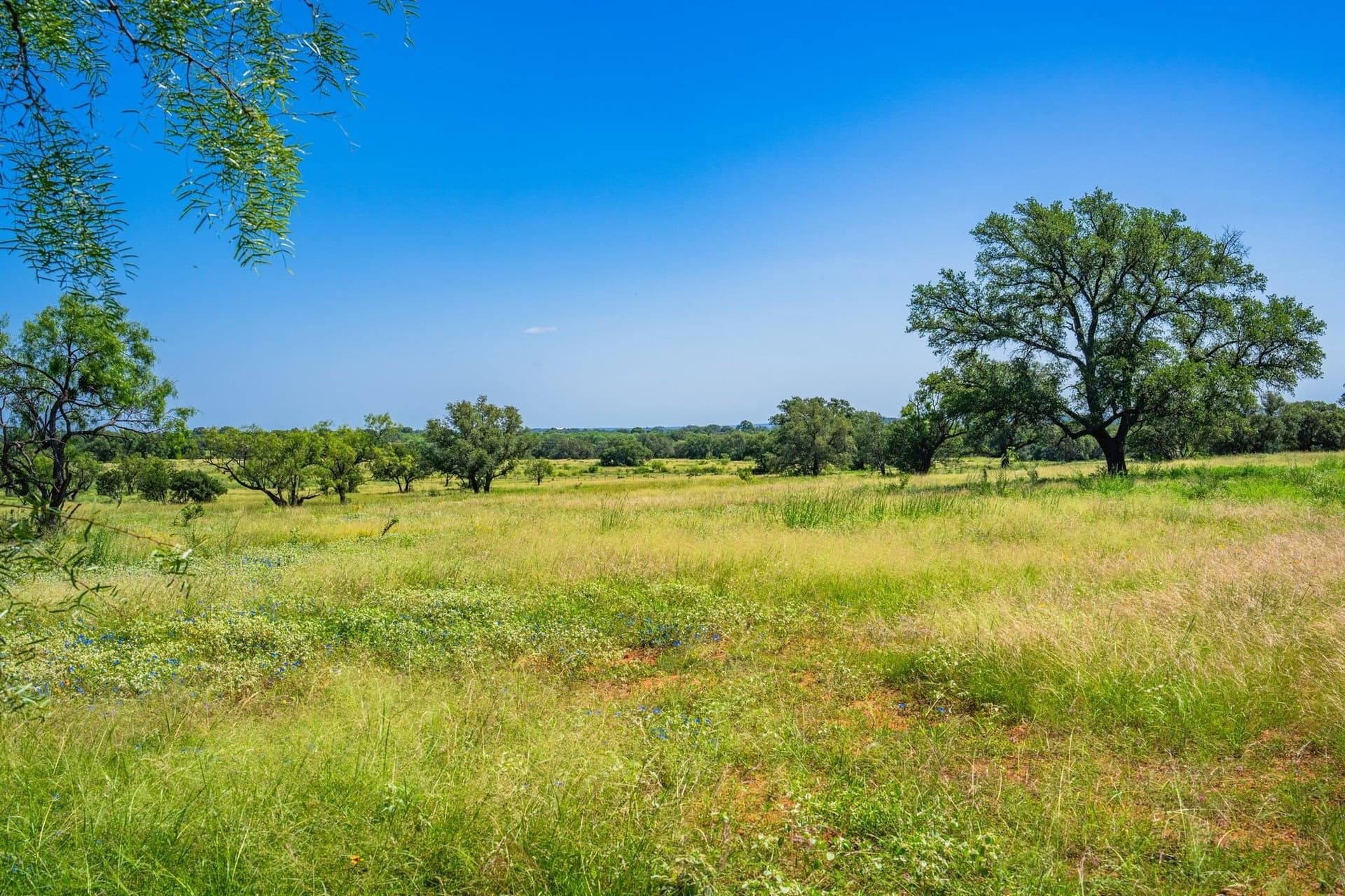 176 acres in Llano County - photo 25