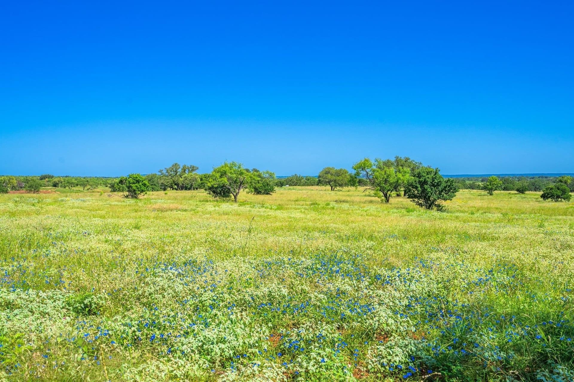 176 acres in Llano County - photo 14