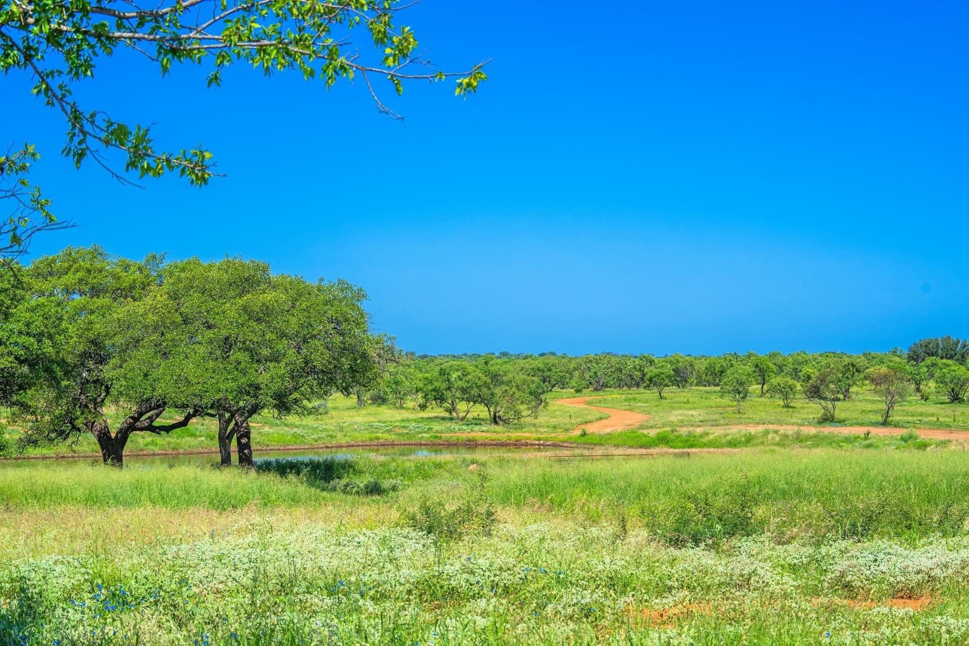 176 acres in Llano County - photo 24