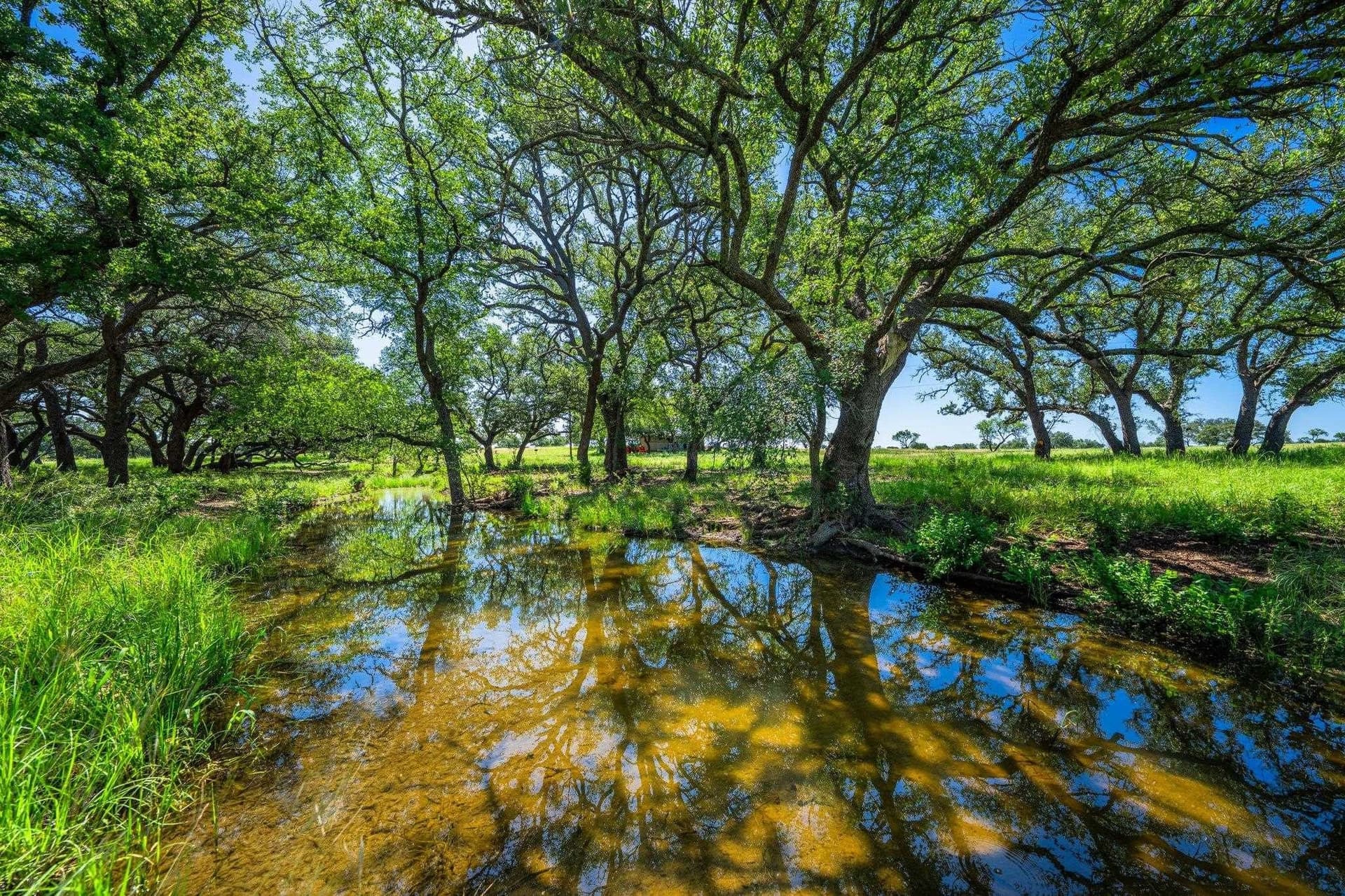 176 acres in Llano County - photo 12