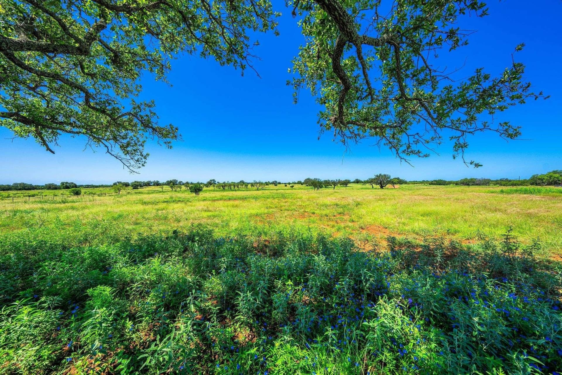 176 acres in Llano County - photo 15