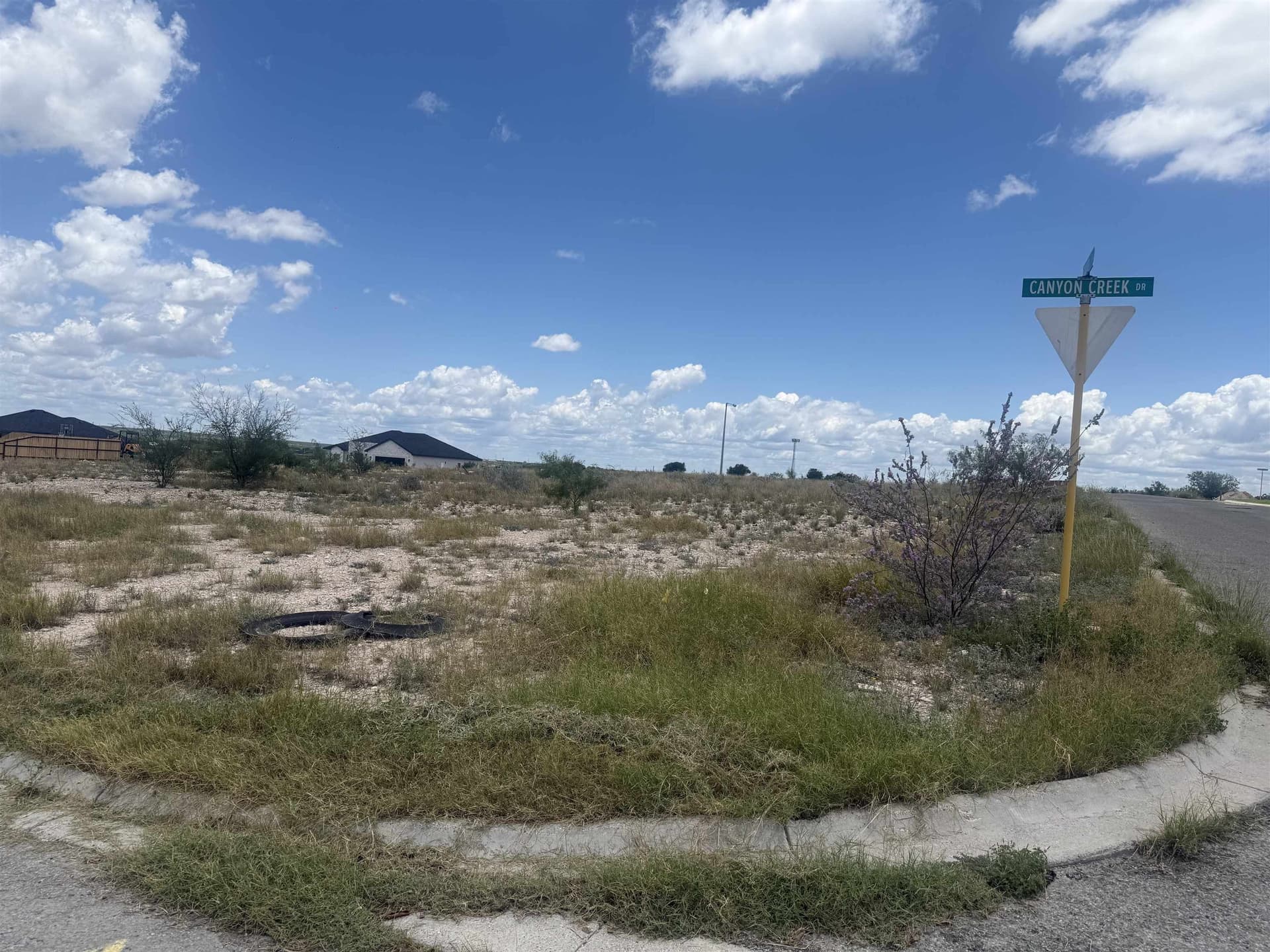 0.29 acres in Val Verde County gallery image 4