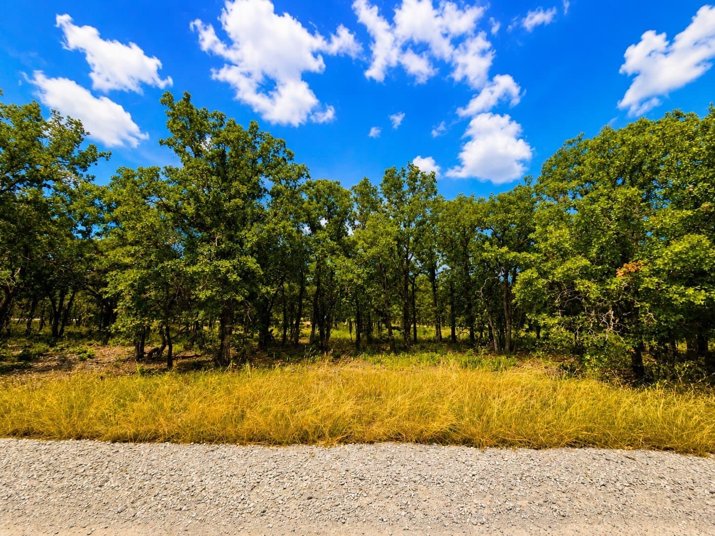 0.99 acres in Wise County gallery image 2