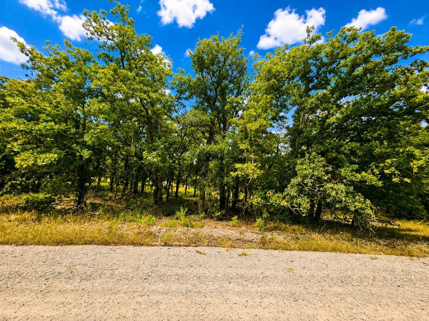 0.99 acres in Wise County gallery image 3