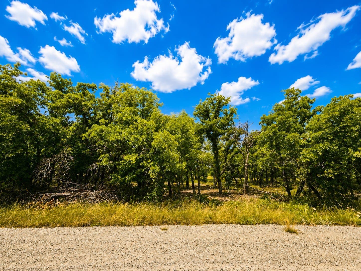 0.99 acres in Wise County featured view