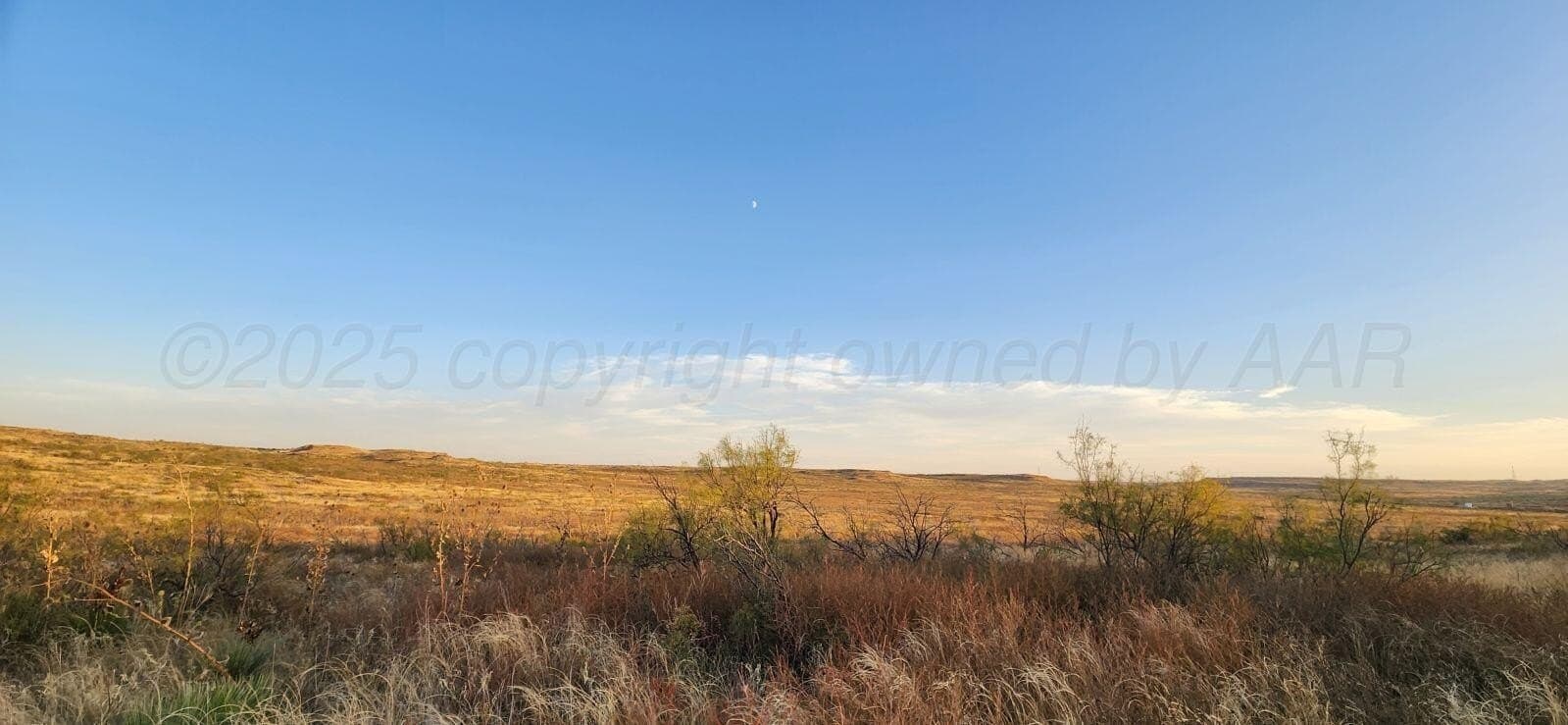 24.93 acres in Potter County gallery image 2