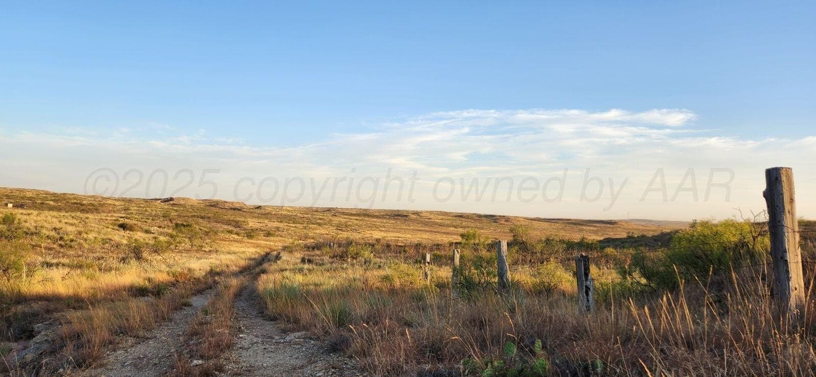 24.93 acres in Potter County gallery image 3