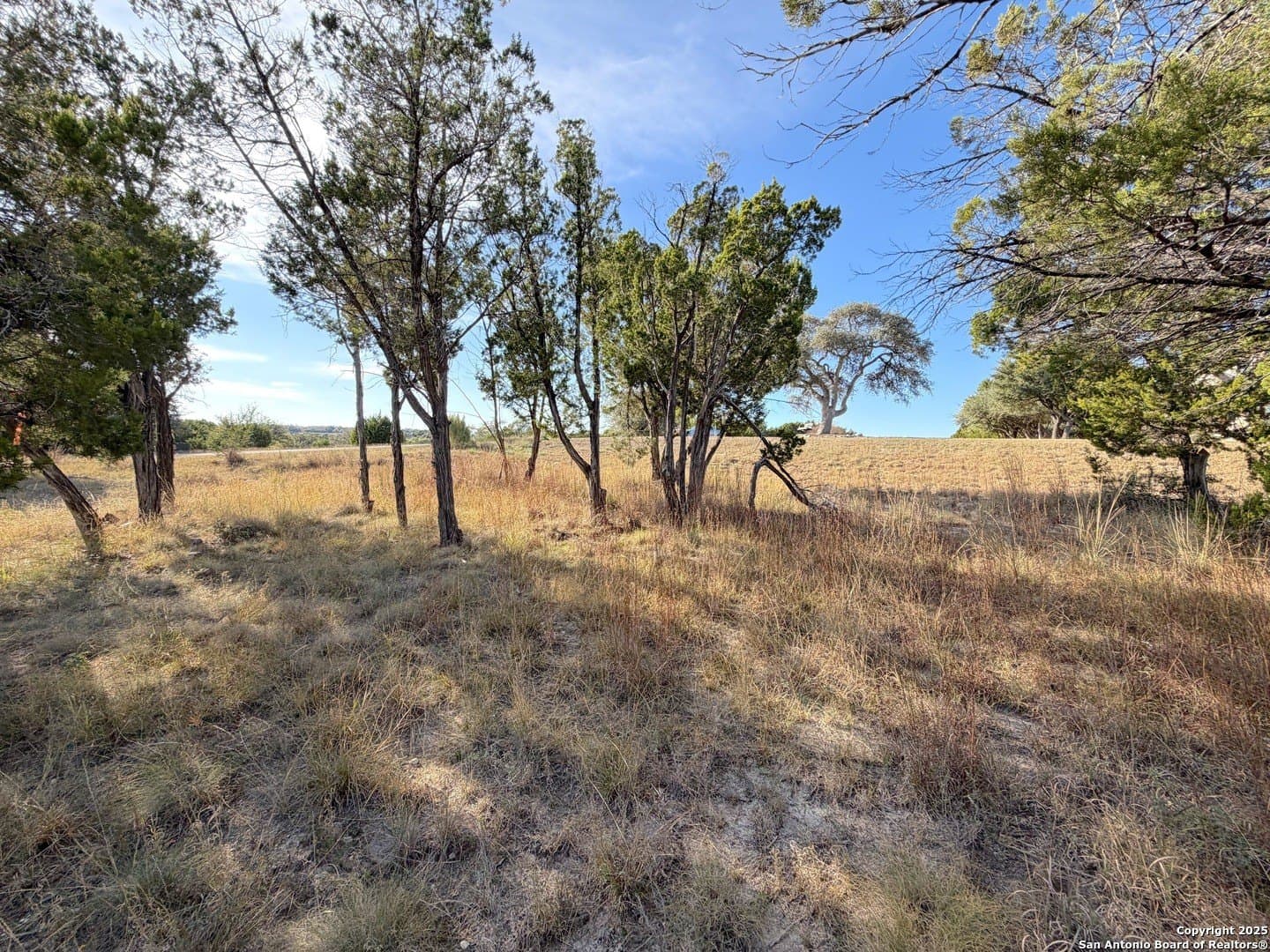 1.21 acres in Comal County gallery image 2