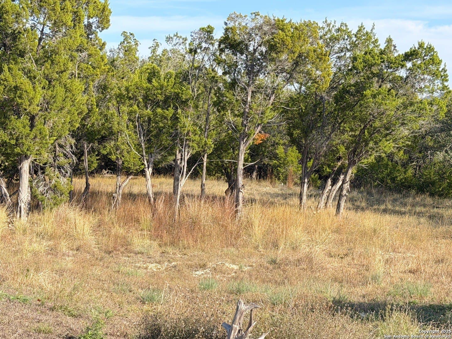 1.21 acres in Comal County - photo 10