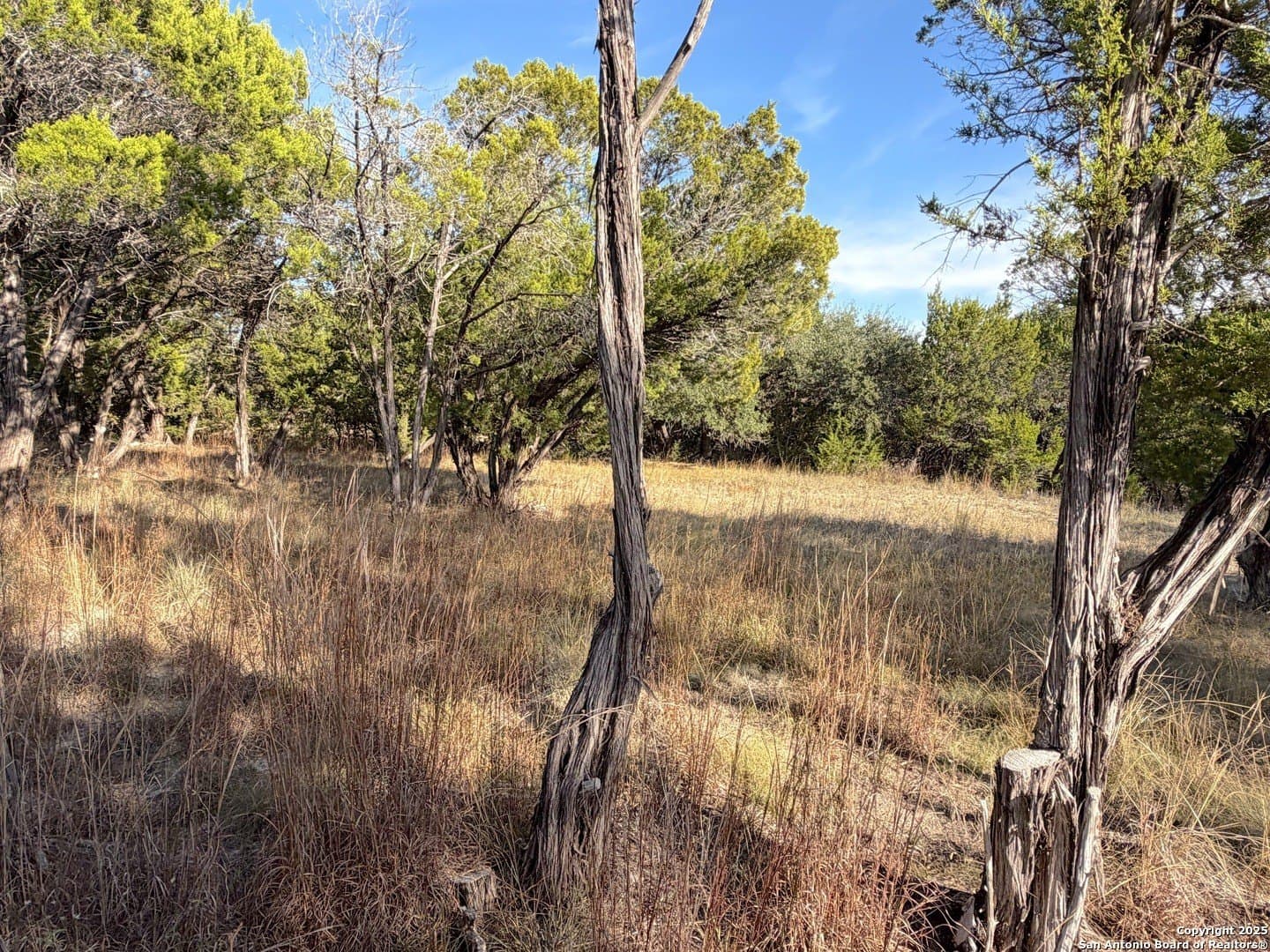 1.21 acres in Comal County - photo 9