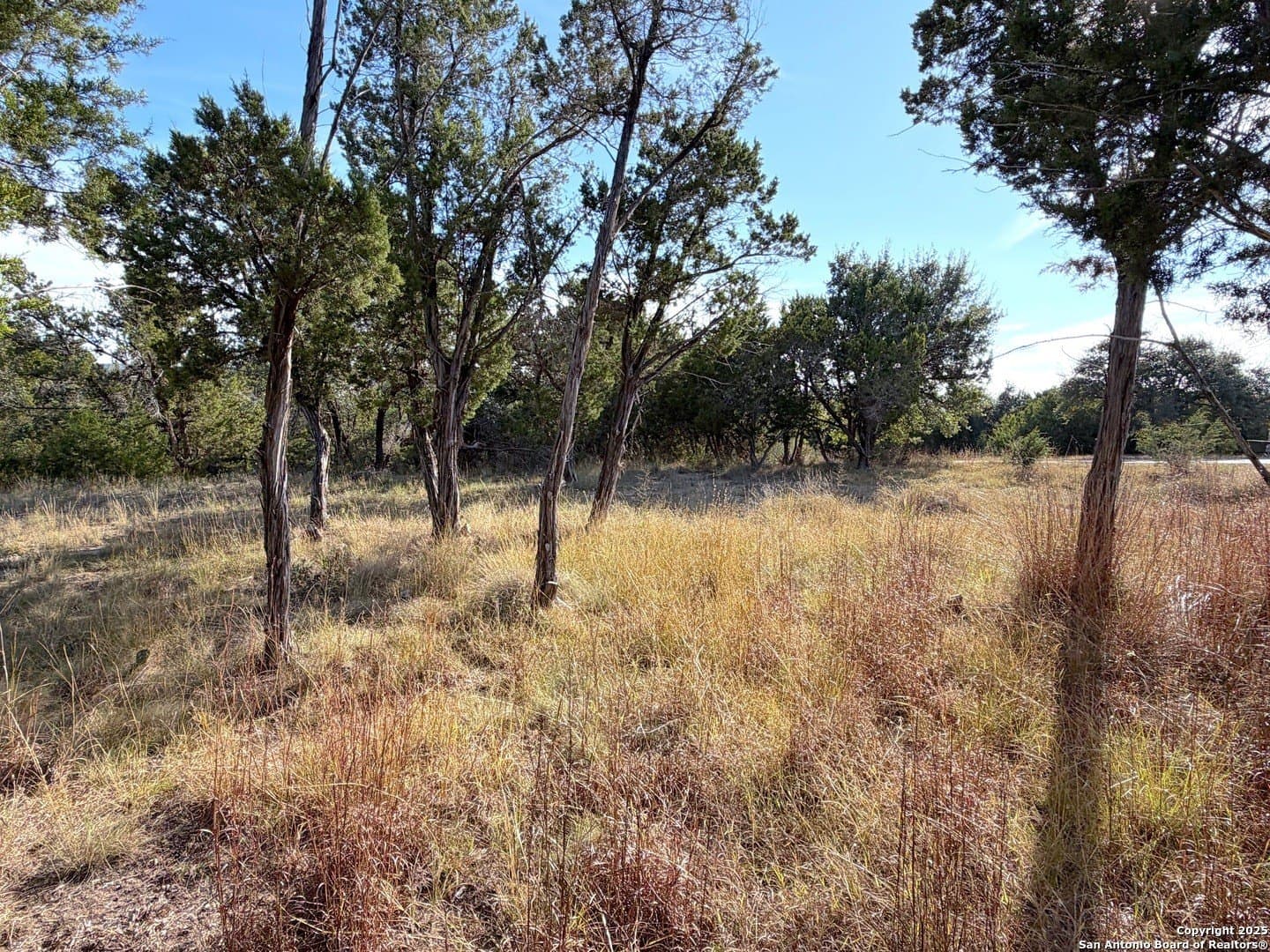 1.21 acres in Comal County - photo 15