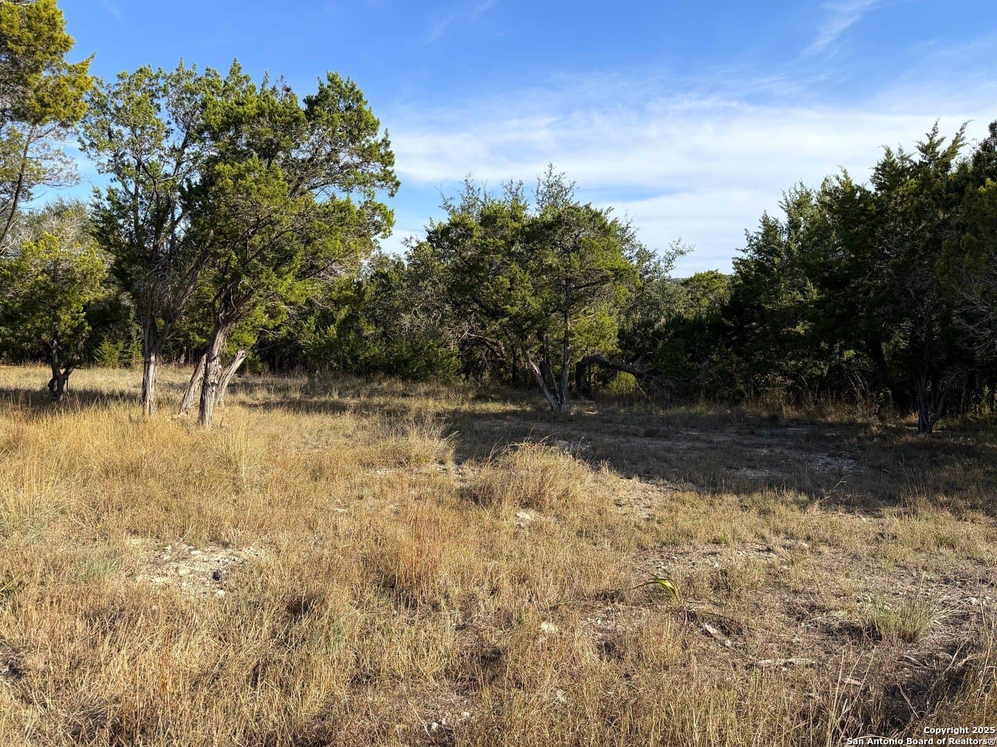 1.21 acres in Comal County gallery image 3