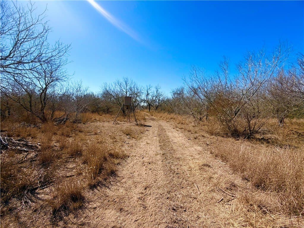 12.13 acres in Duval County - photo 20