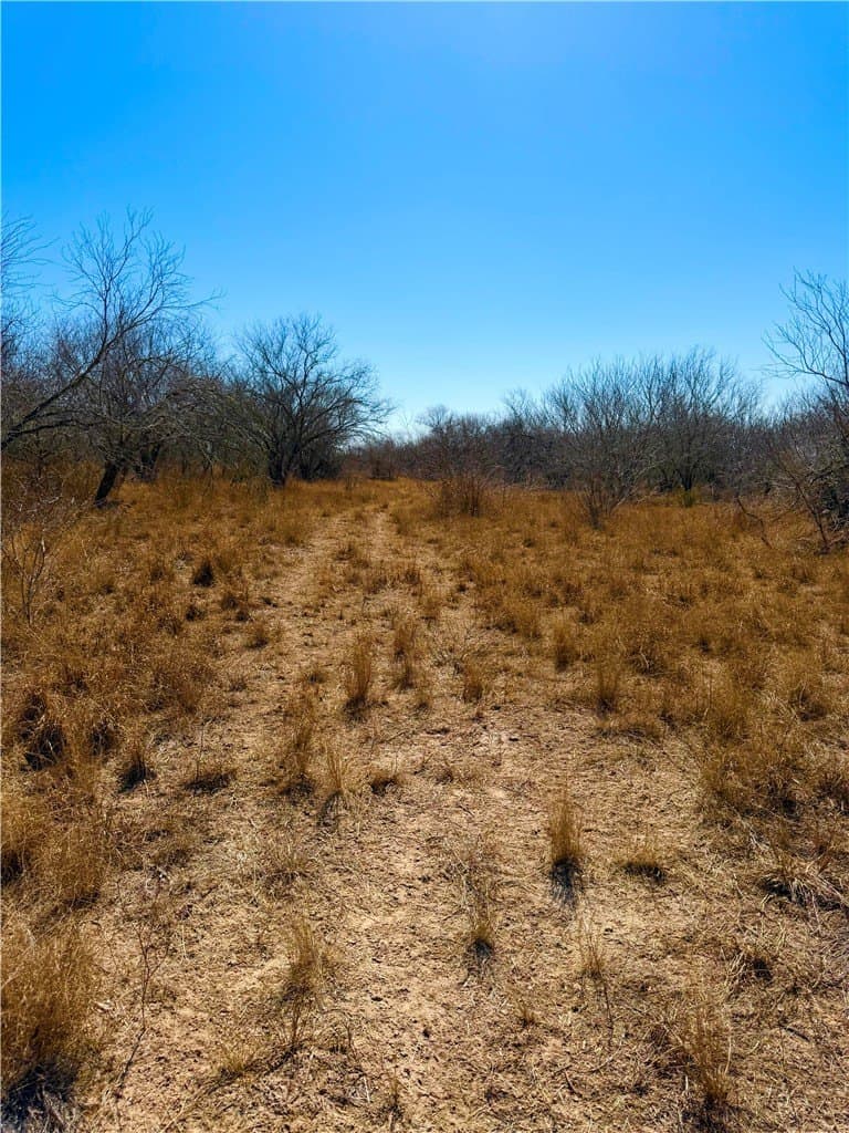 12.13 acres in Duval County - photo 13