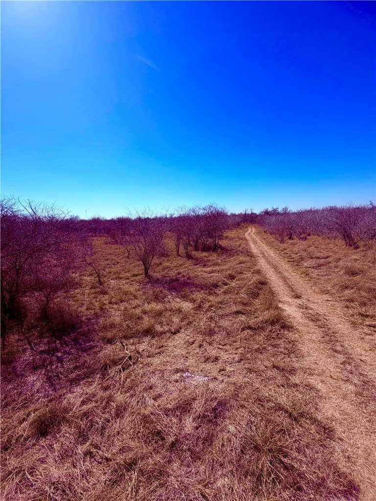 12.13 acres in Duval County - photo 24
