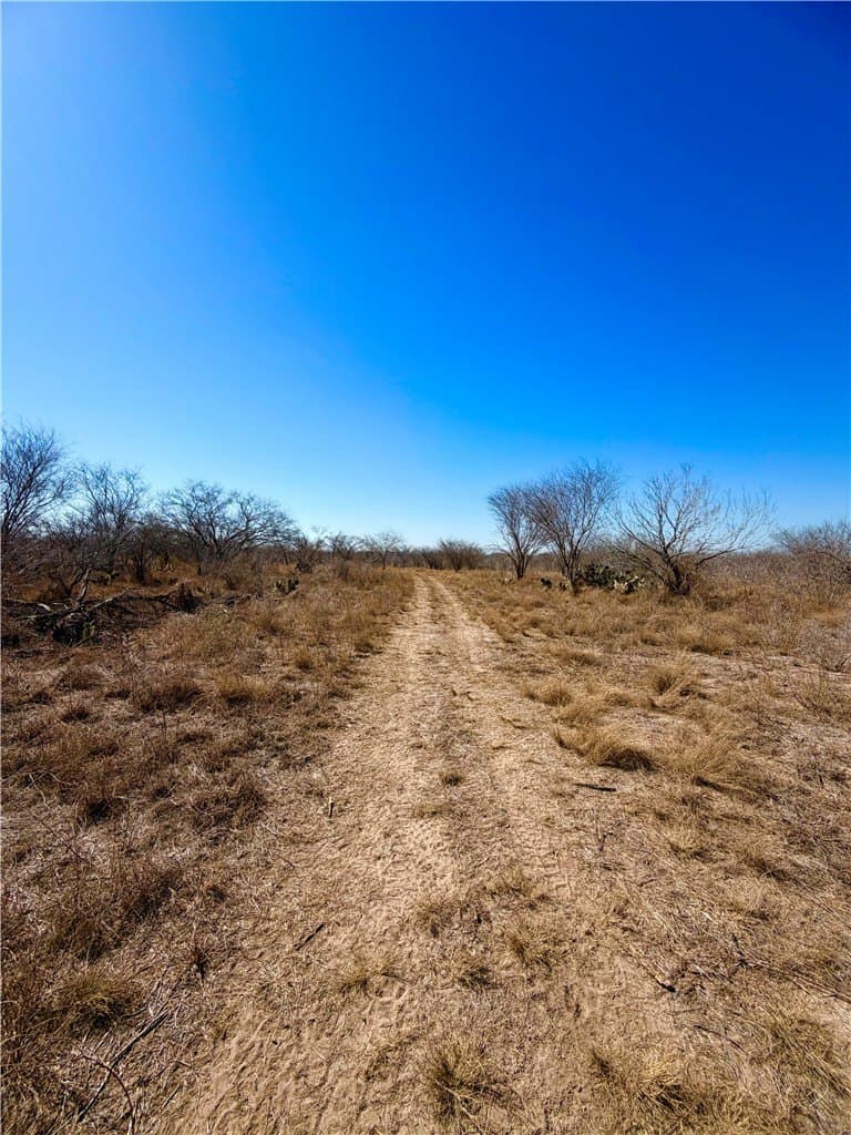 12.13 acres in Duval County - photo 31