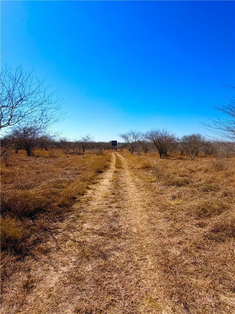 12.13 acres in Duval County - photo 29