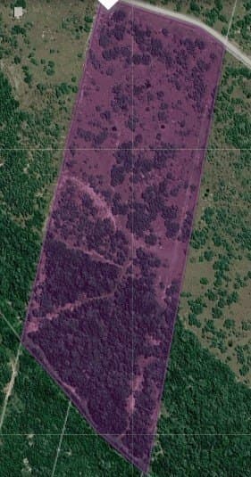 12.13 acres in Duval County gallery image 4