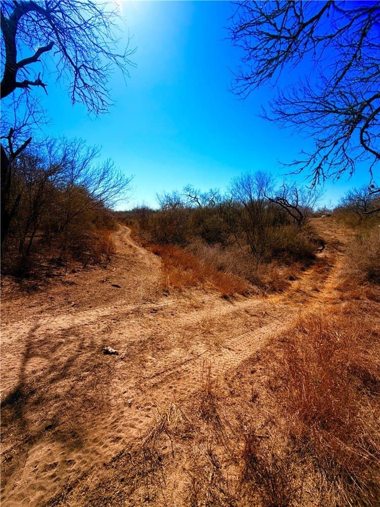 12.13 acres in Duval County - photo 16