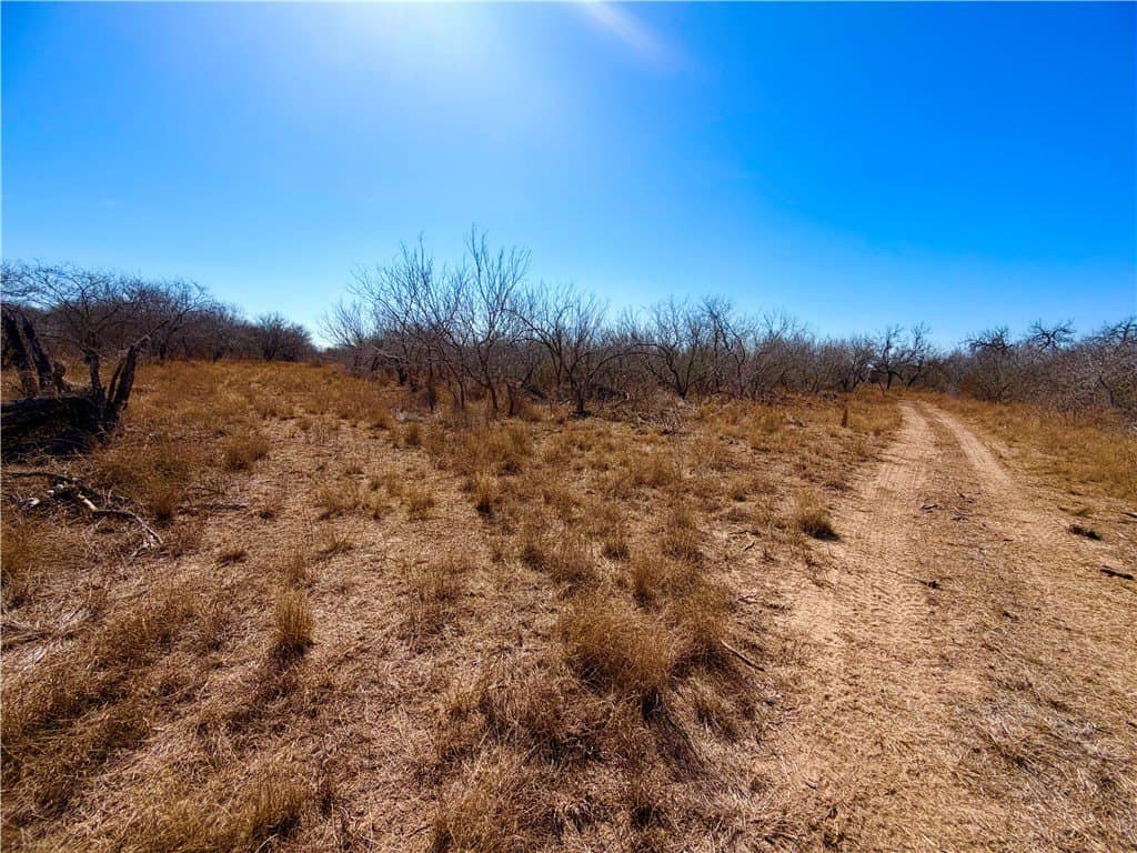 12.13 acres in Duval County - photo 22