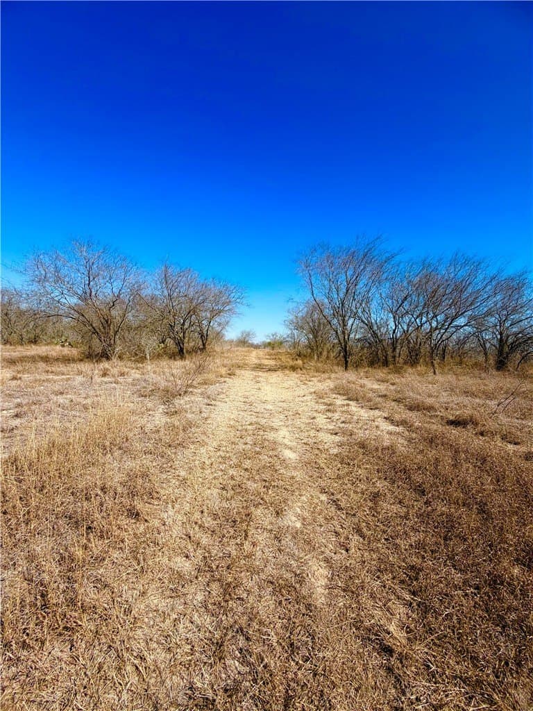 12.13 acres in Duval County - photo 11