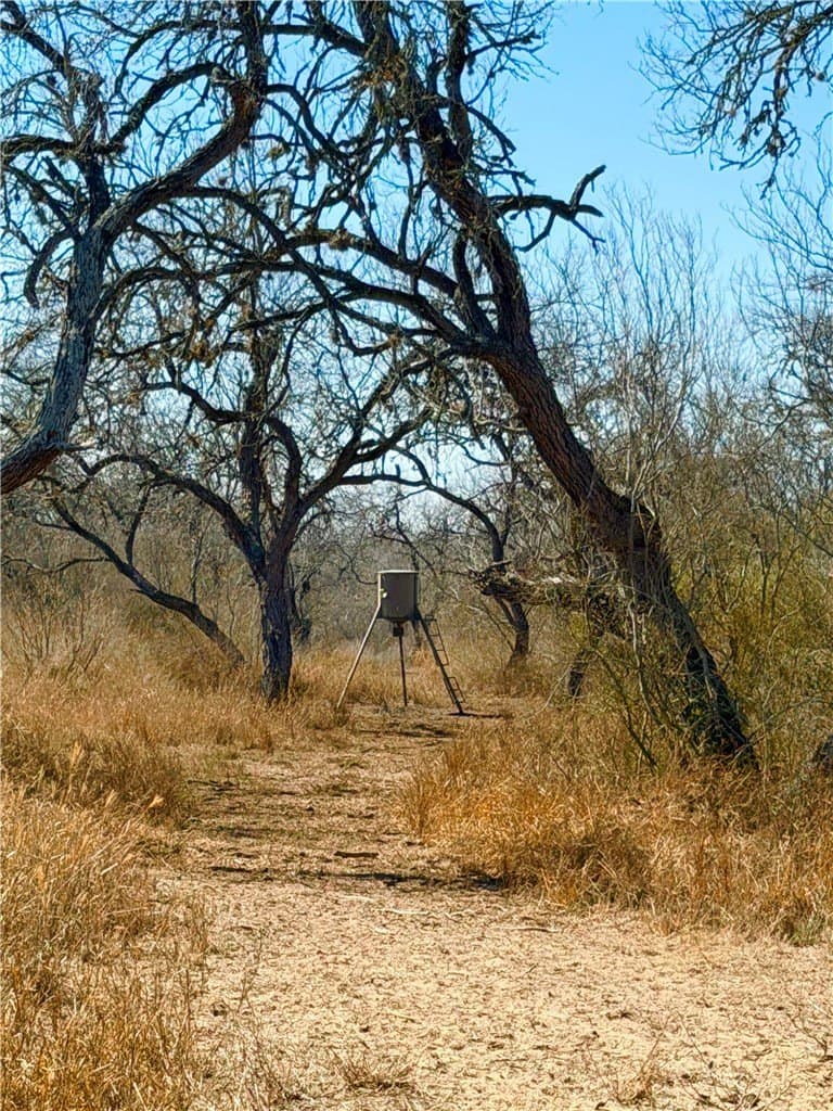 12.13 acres in Duval County gallery image 2