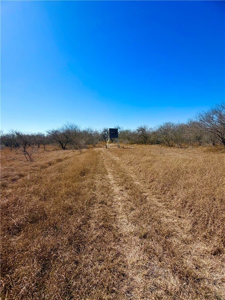 12.13 acres in Duval County - photo 10