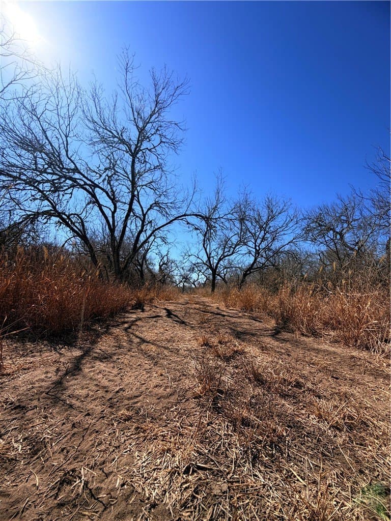 12.13 acres in Duval County - photo 17