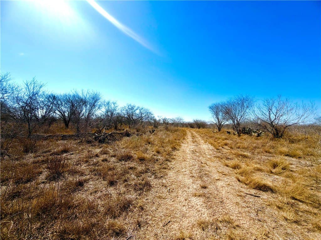 12.13 acres in Duval County - photo 32